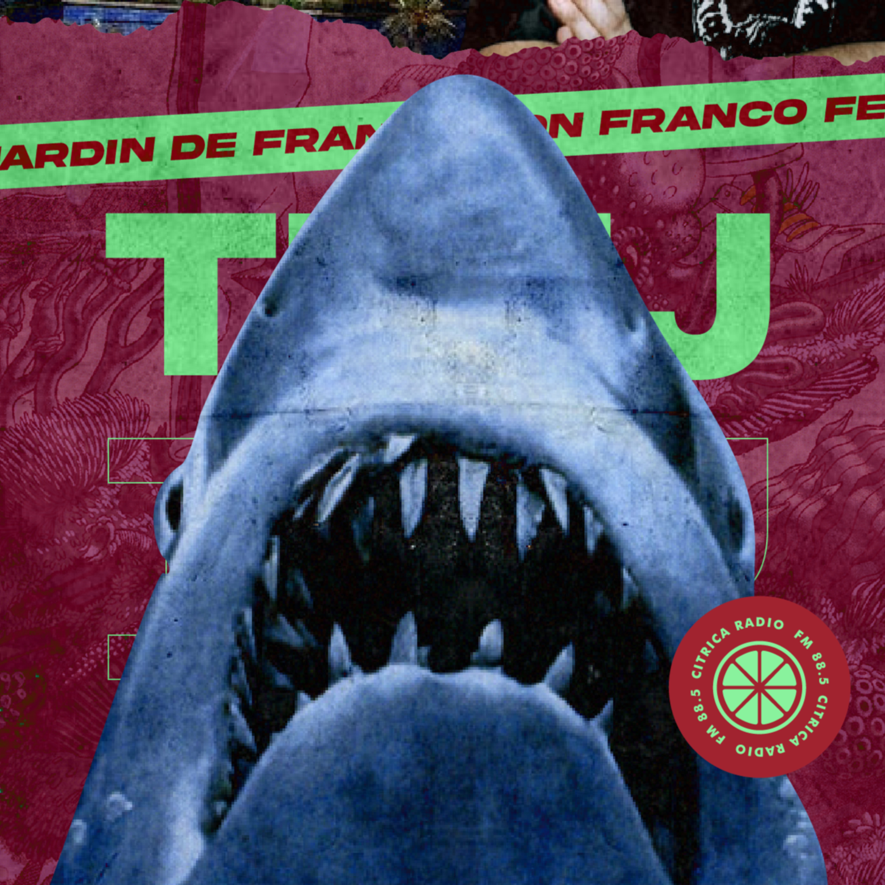 La FÓRMULA del SUSPENSO de SPILBERG: TIBURÓN  episode artwork