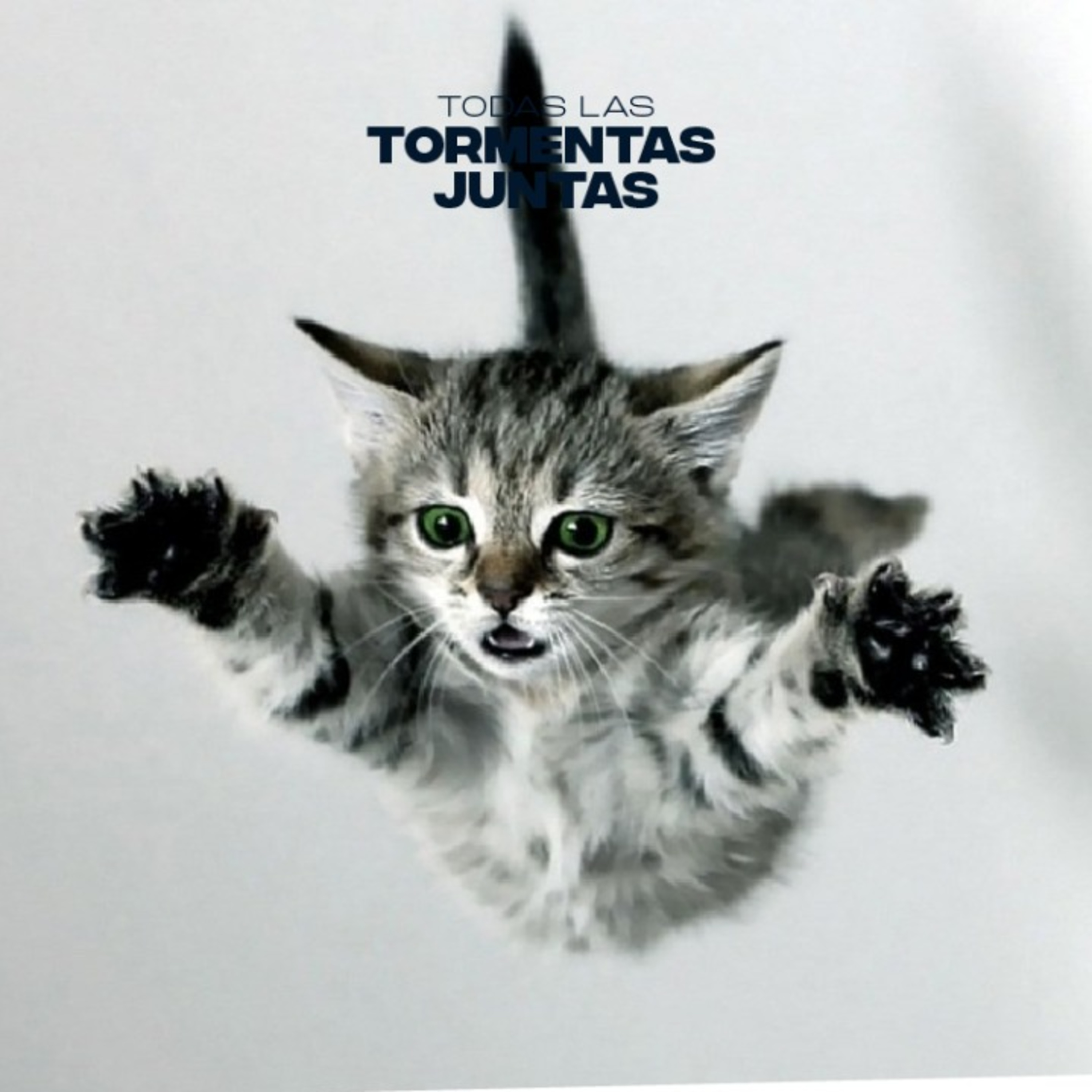 Los GATOS PARACAIDISTAS que SALVARON una ISLA episode artwork