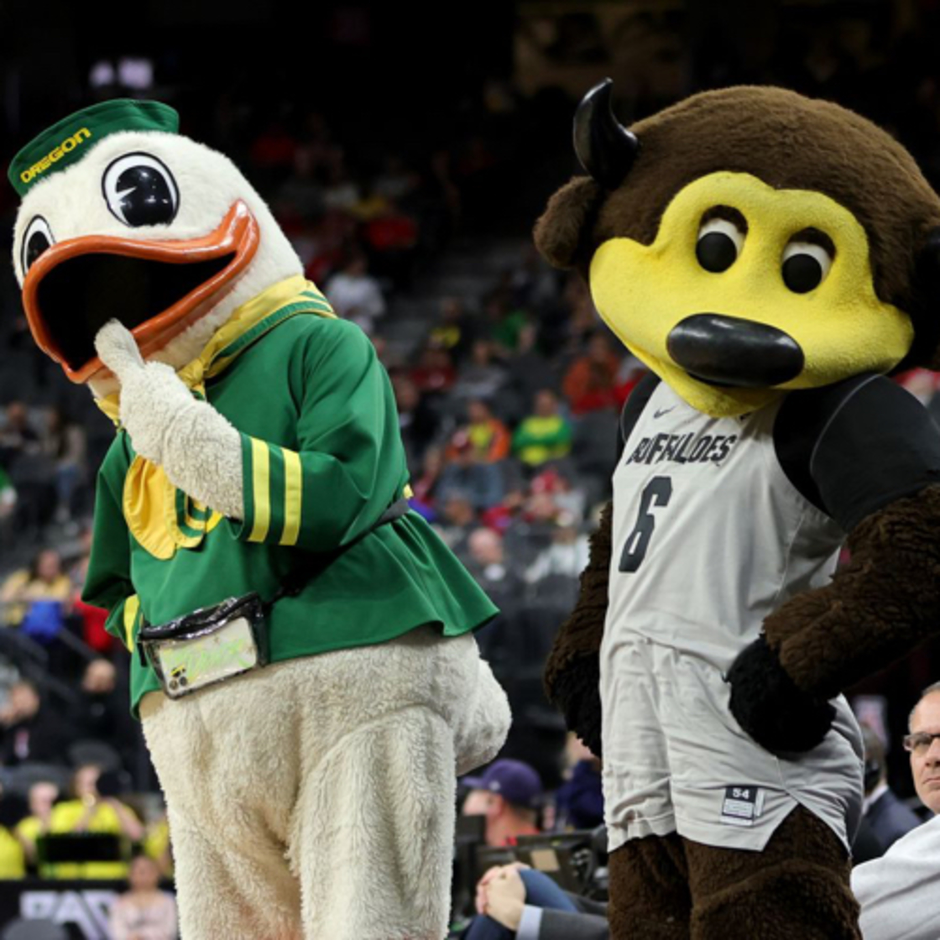 #171 - CU VS OREGON PREDICTIONS / DON’T BUY AN EV CAR episode artwork