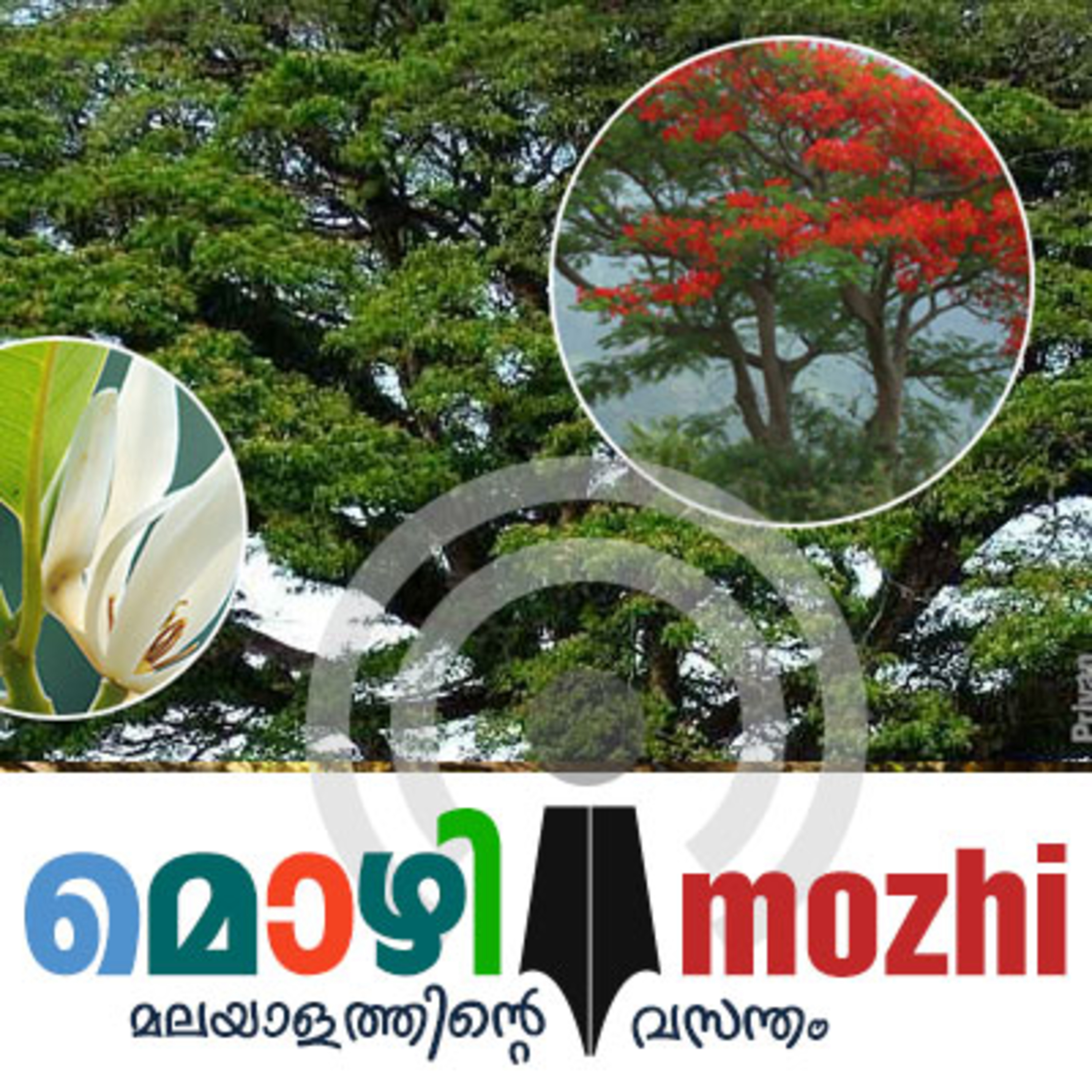 Mozhi Podcast
