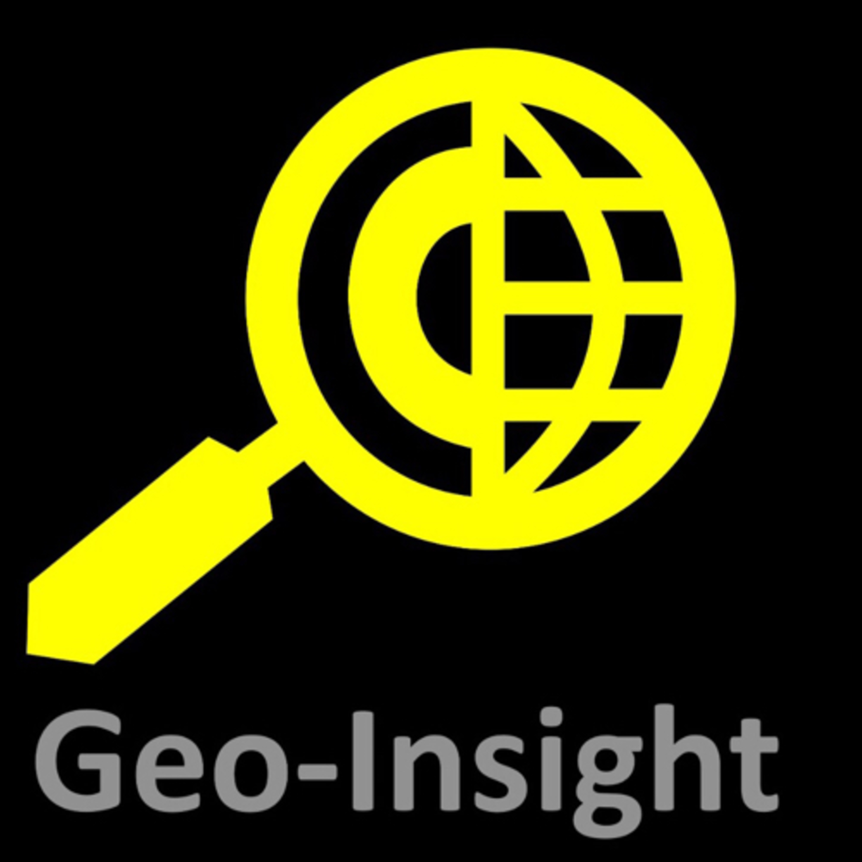 Geoinsight