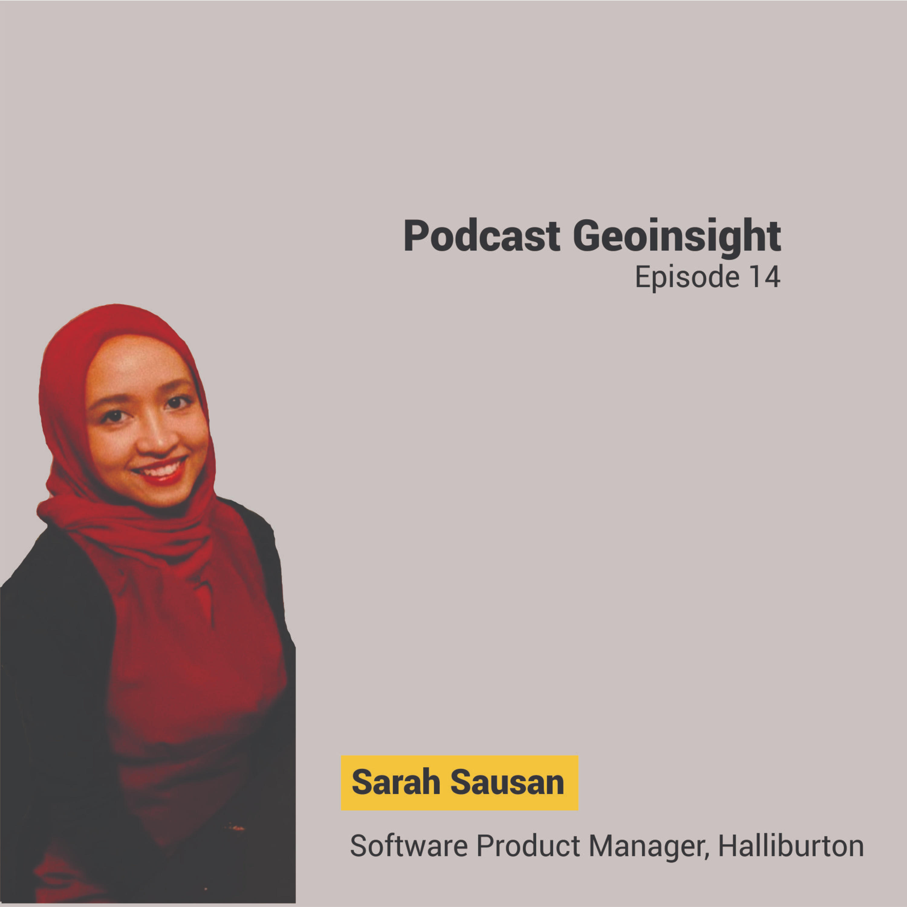 Geoinsight