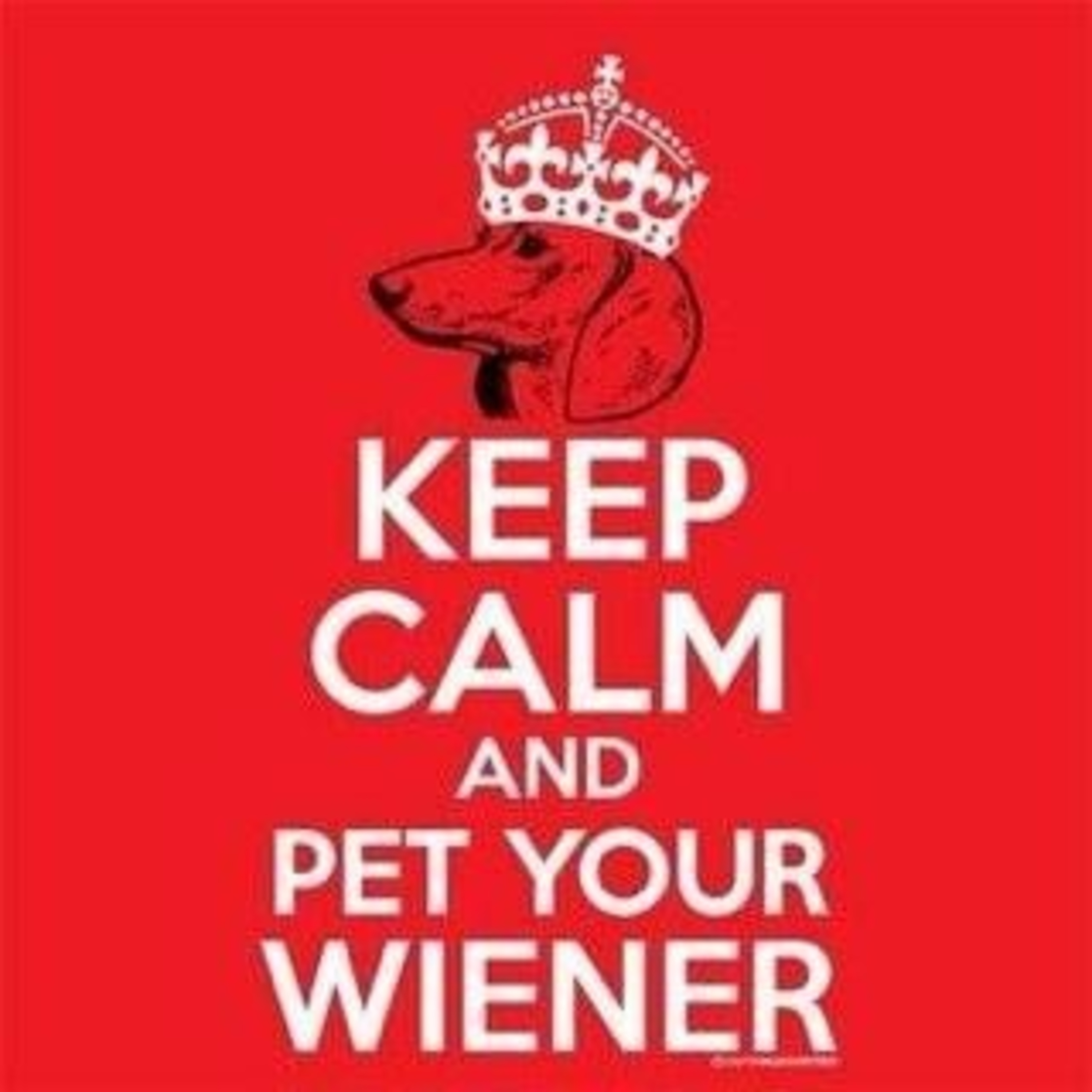 Ask Me About My Wiener