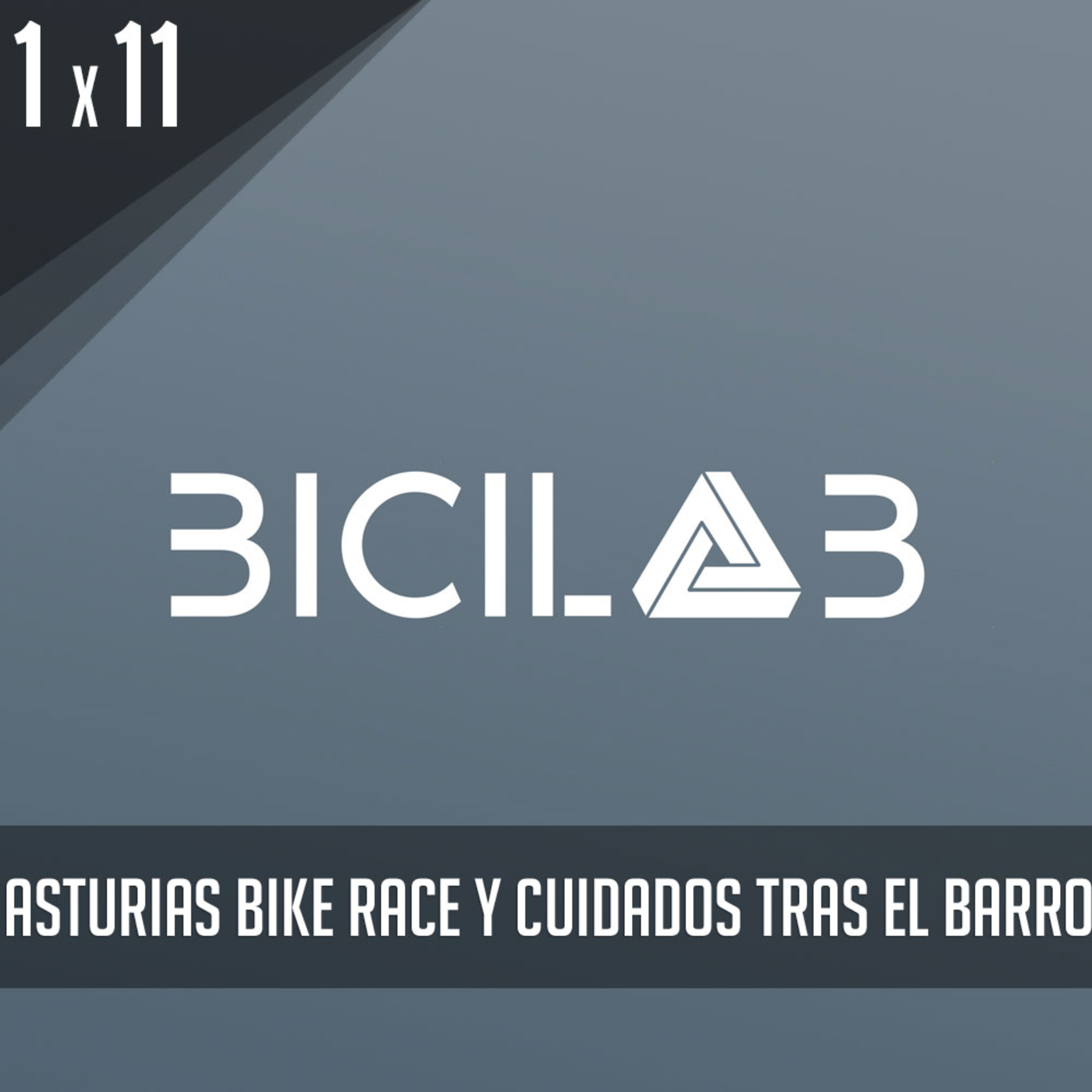 BiciLAB