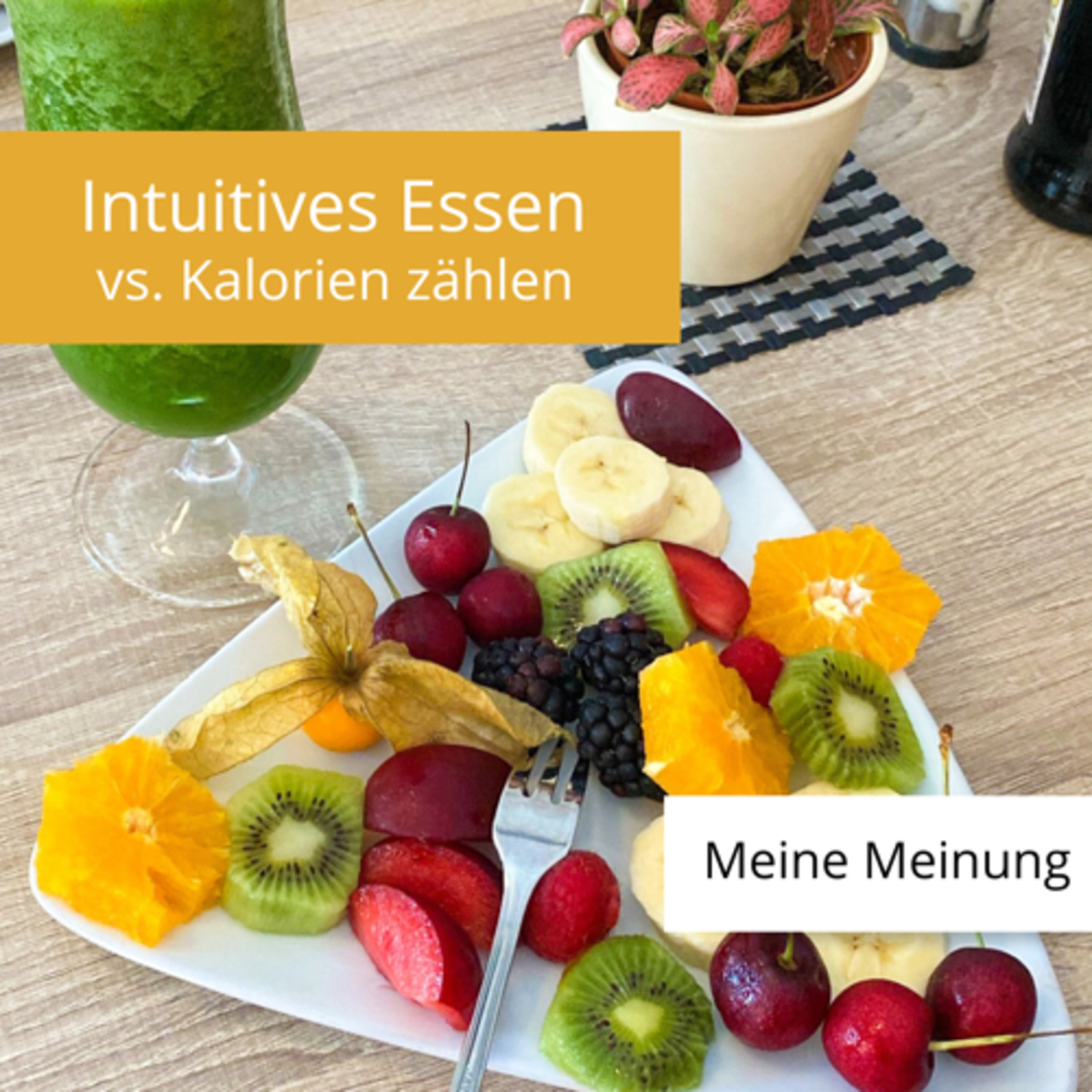 #15| Meine Meinung: Intuitives Essen/Kalorien zählen episode artwork
