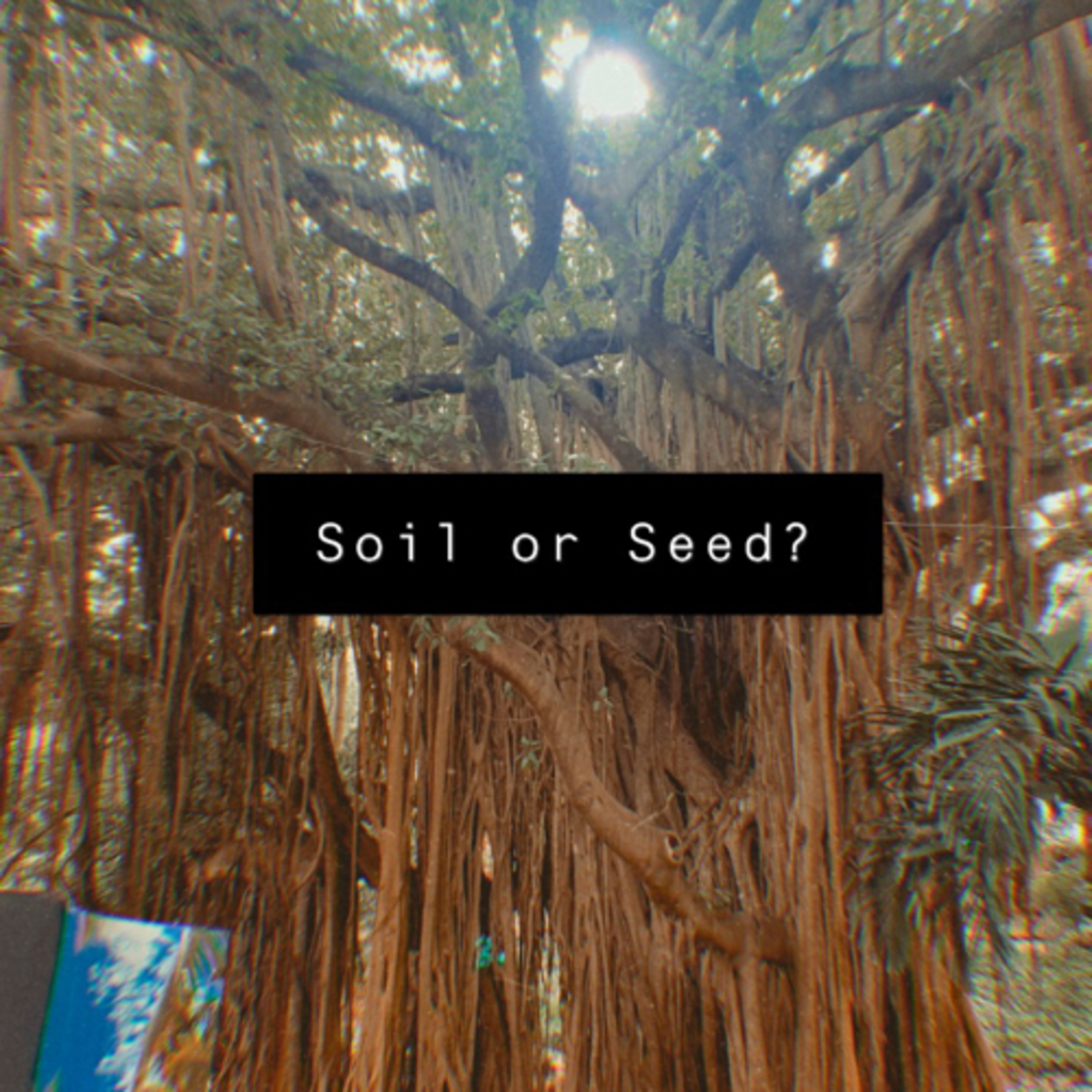 Soil or Seed?  episode artwork