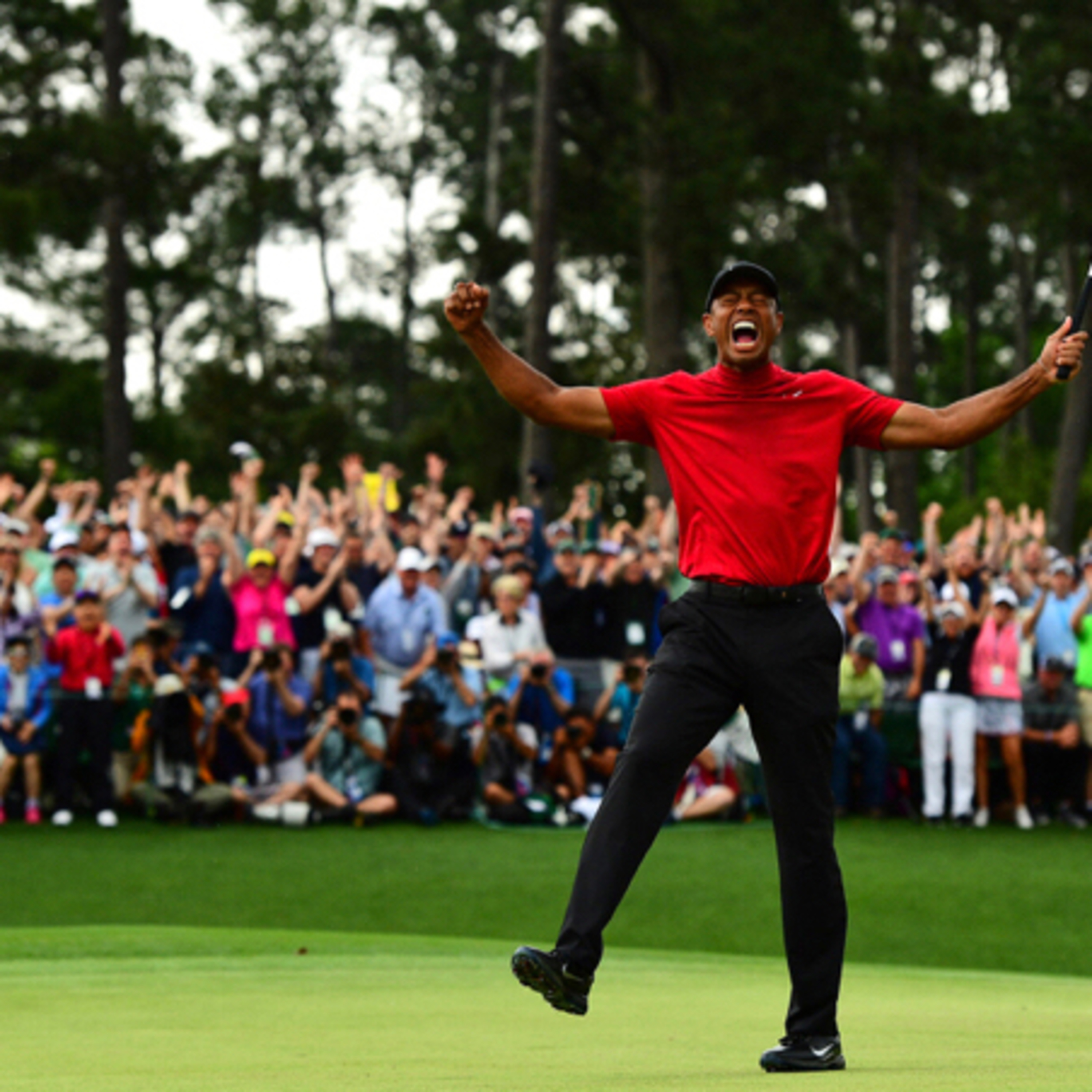 Tiger woods  episode artwork