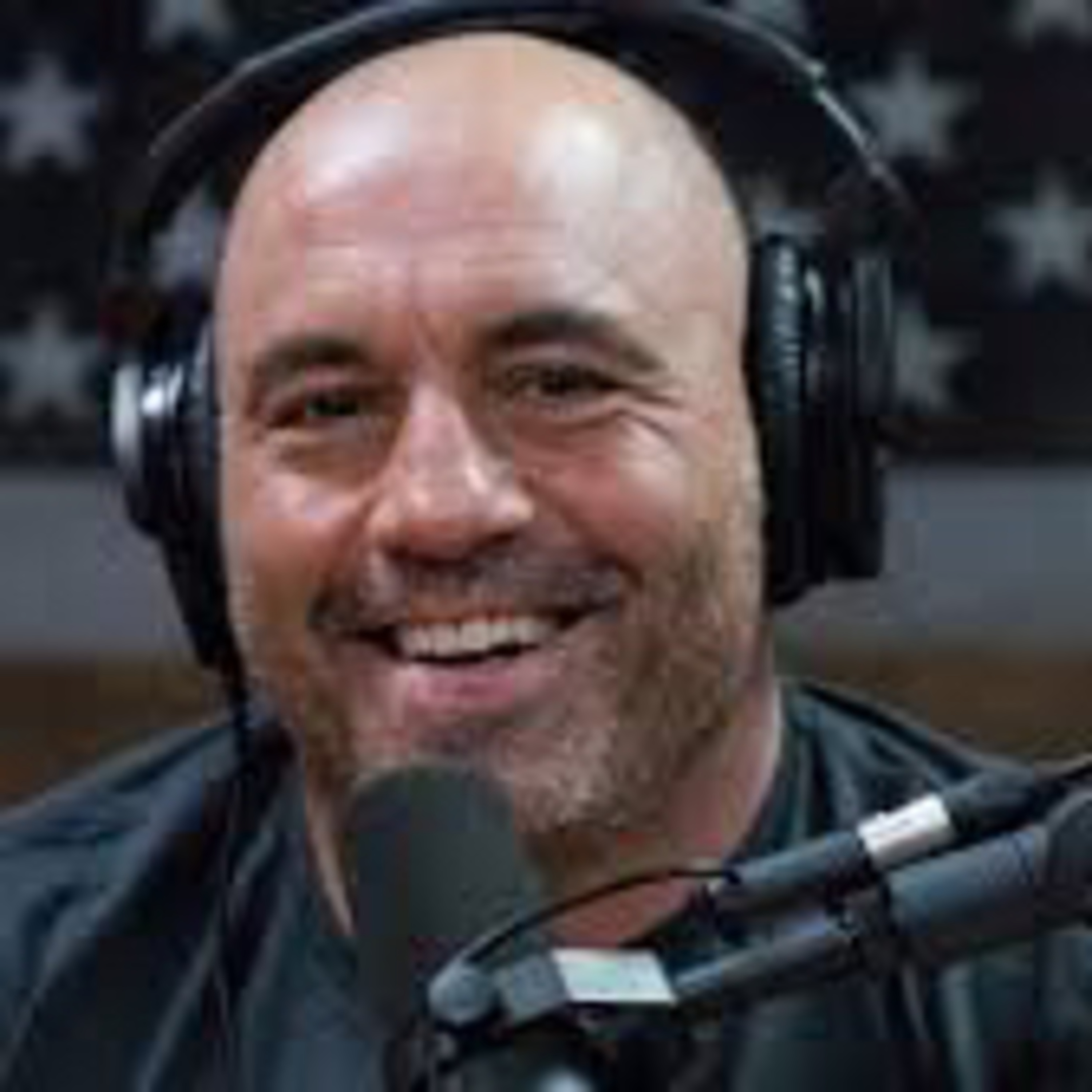 Joe rogan  episode artwork