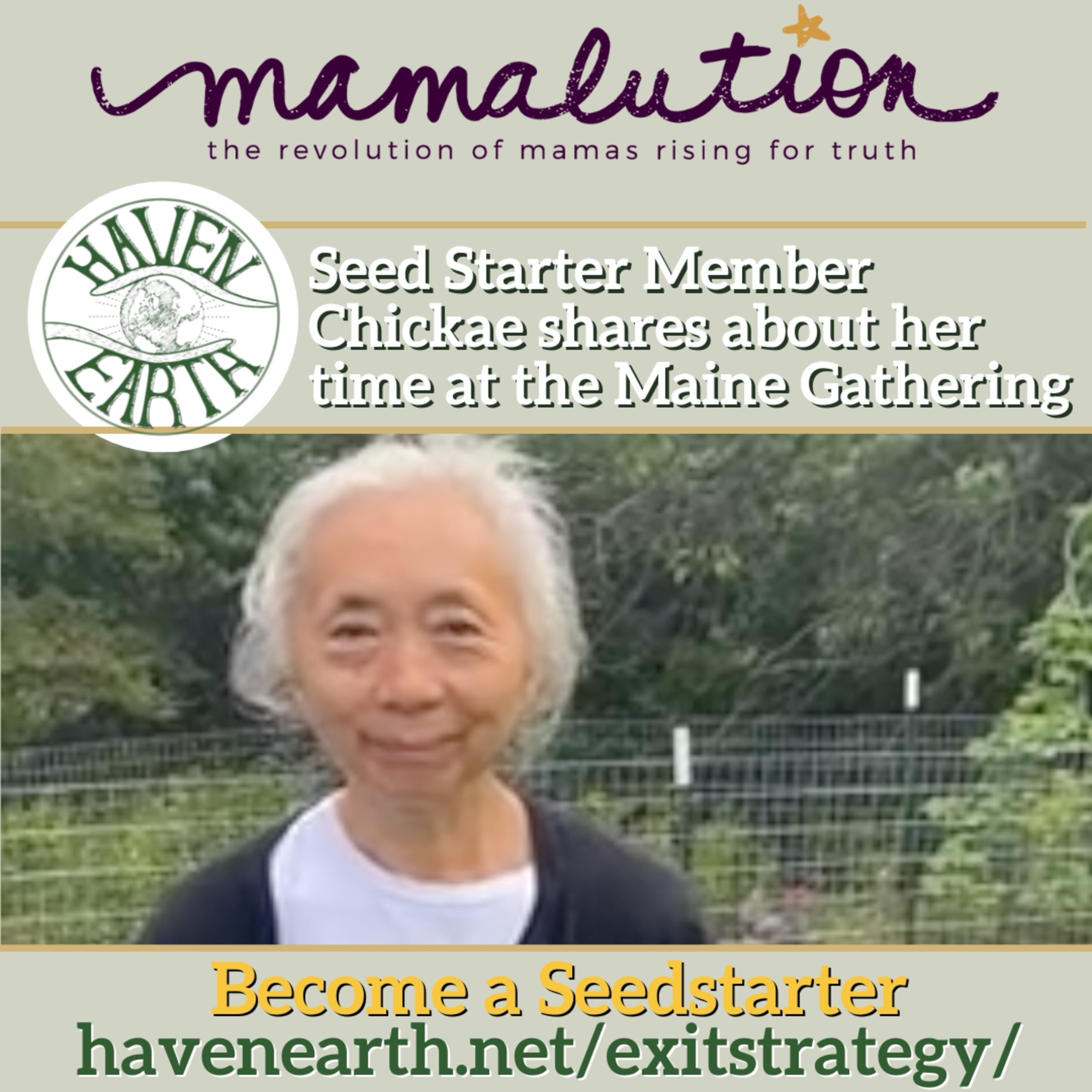 The Mamalution Podcast