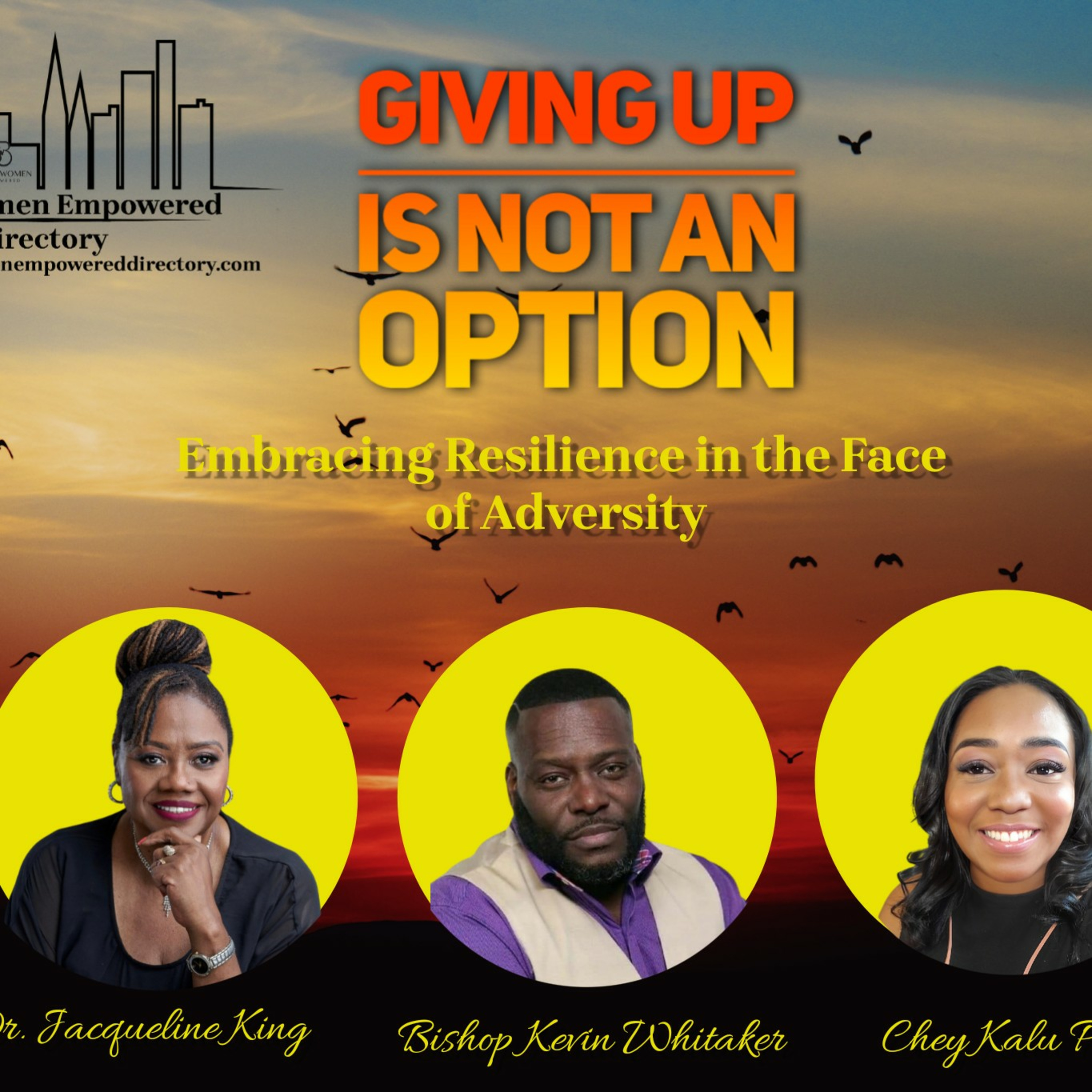 Giving up is not an option  episode artwork