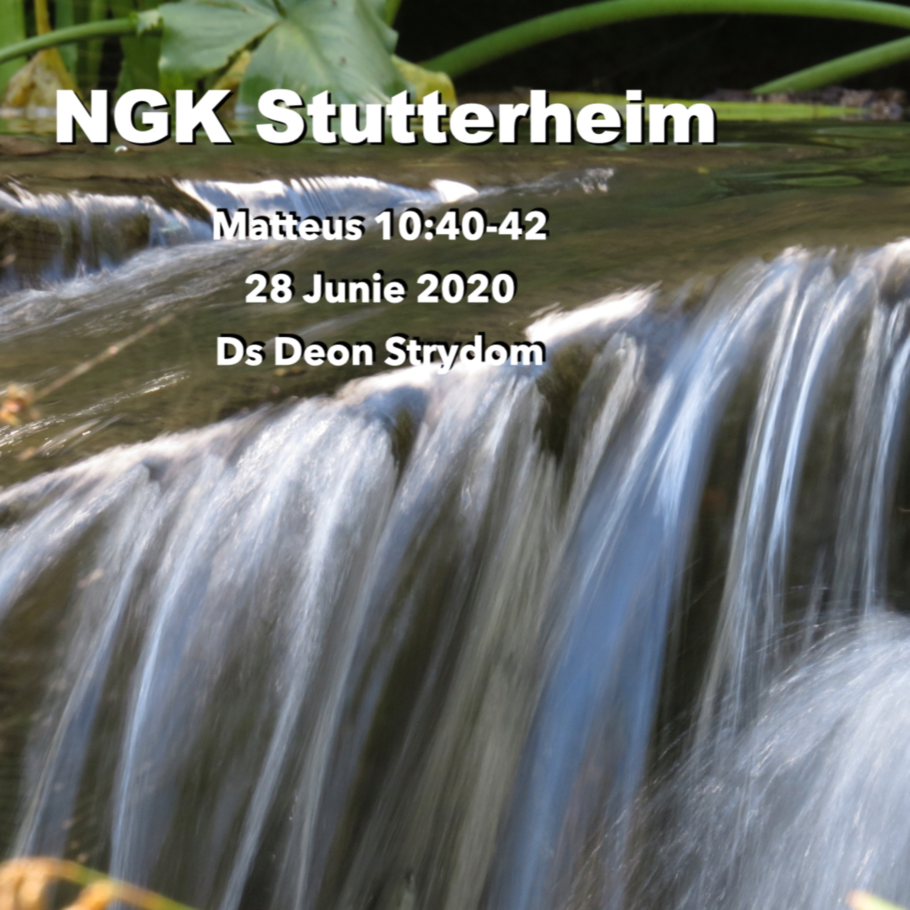NGK Stutterheim