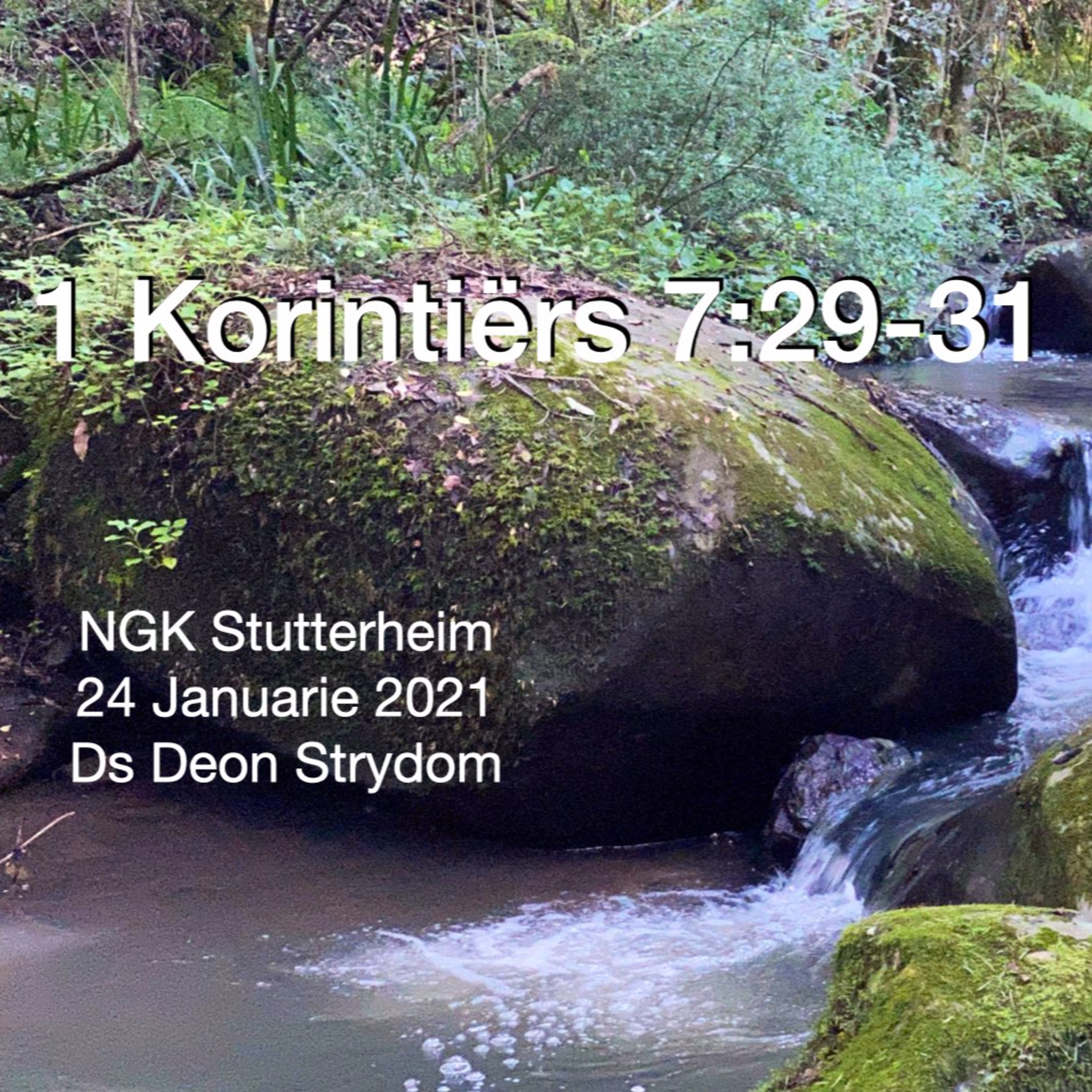 NGK Stutterheim