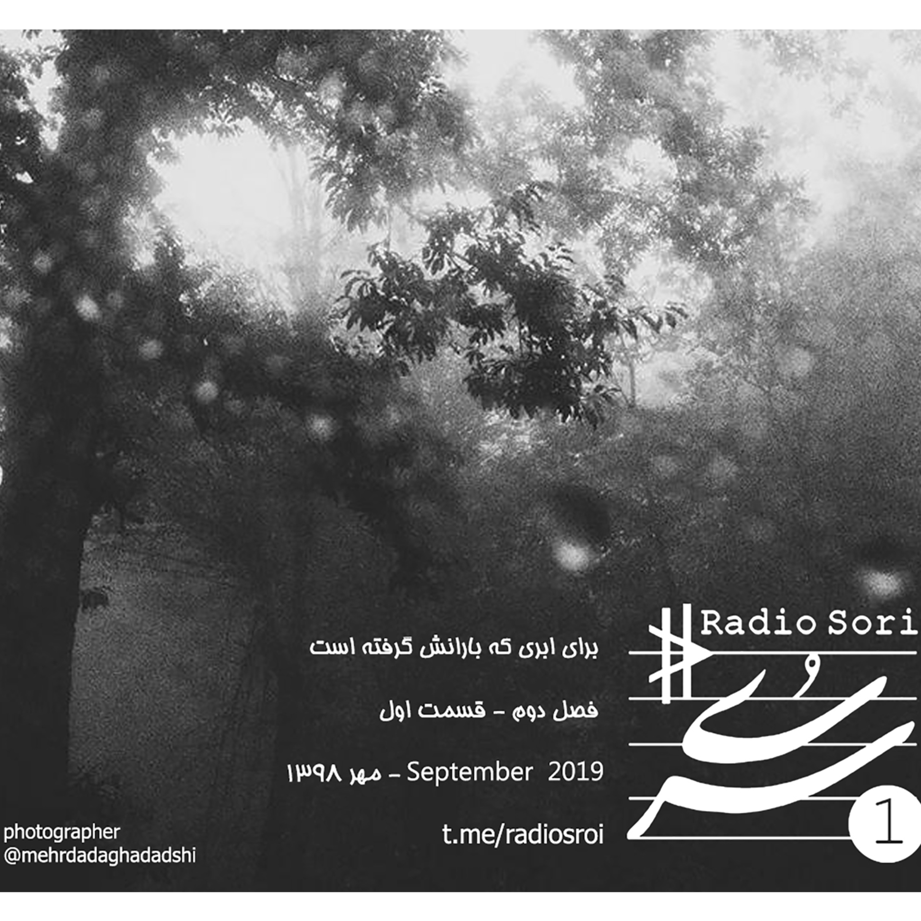 کاور ابری که بارانش گرفته است