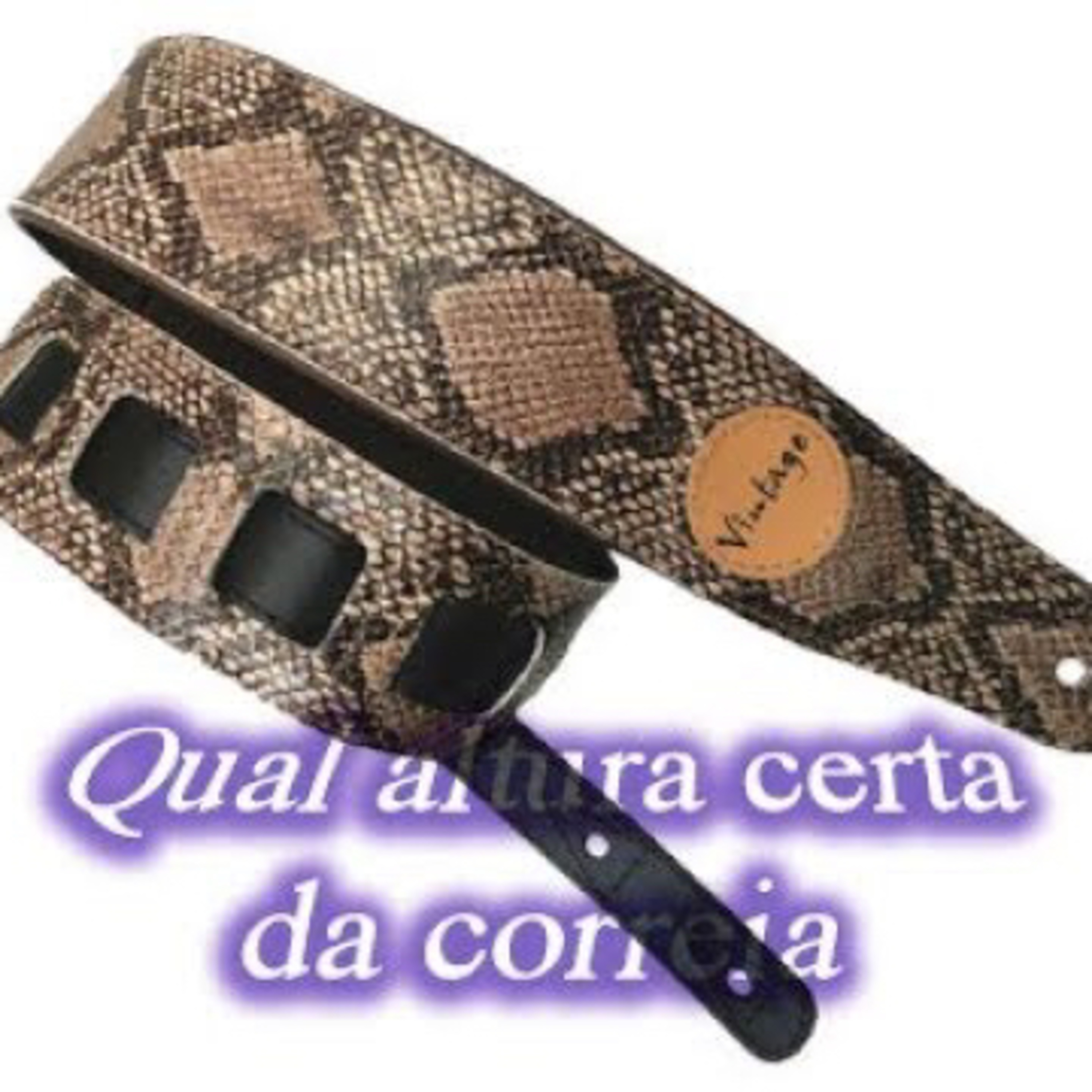 Bassmetria - Dicas valiosas para Baixistas