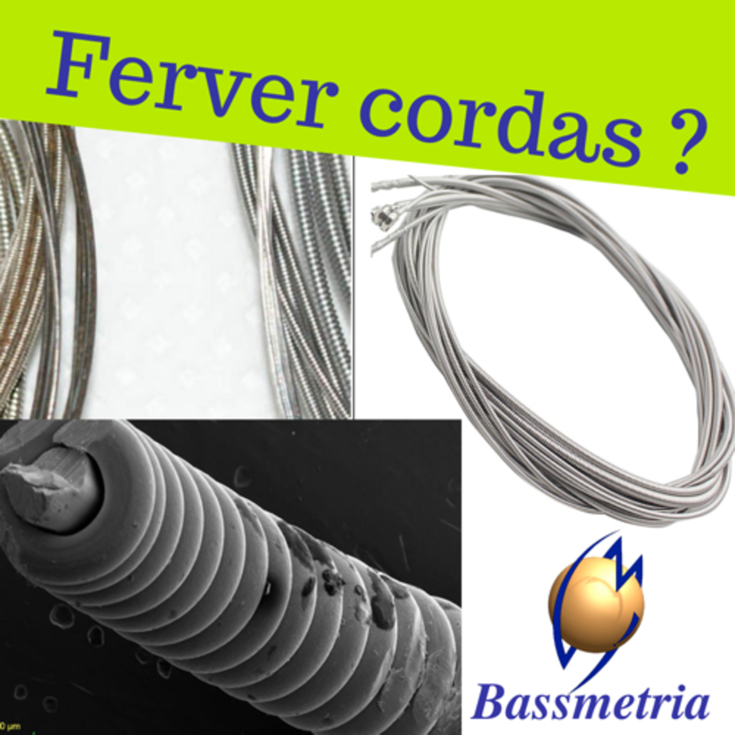 Bassmetria - Dicas valiosas para Baixistas