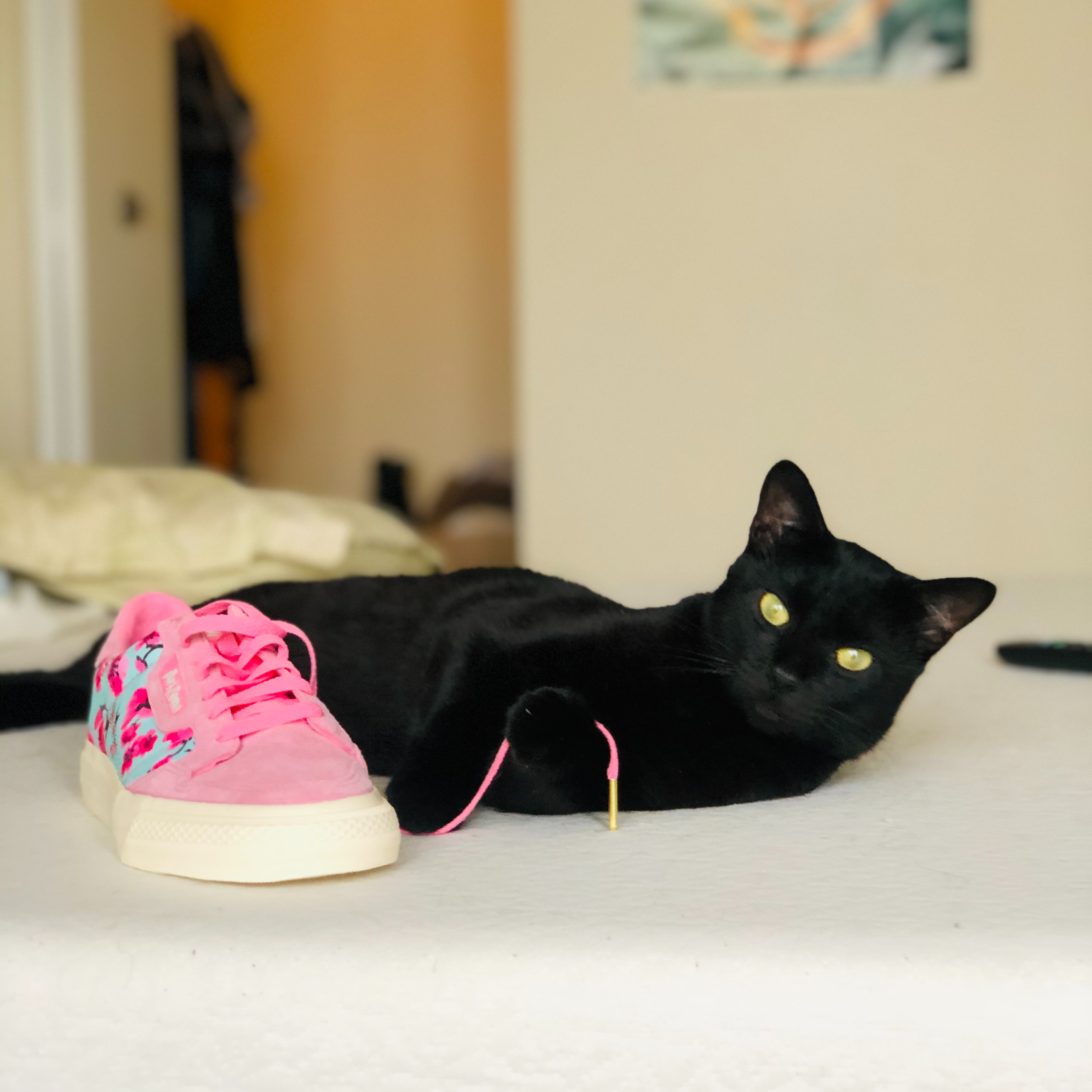 Breaking Mews - Music Podcast