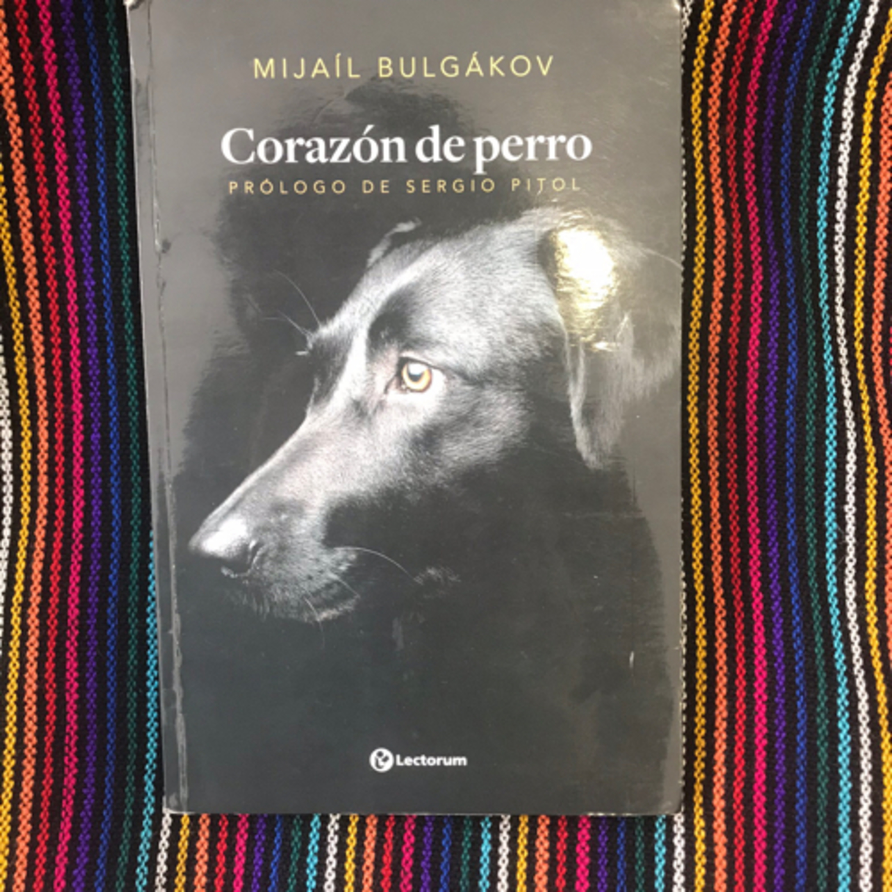 #libroclaroscuro