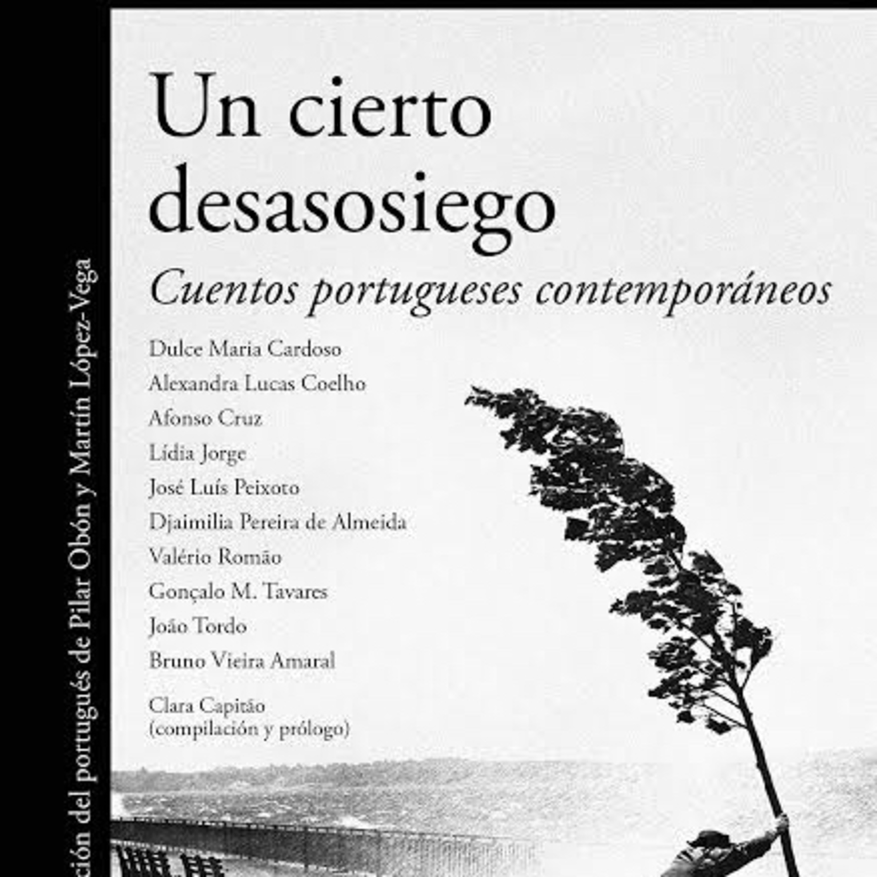 #libroclaroscuro