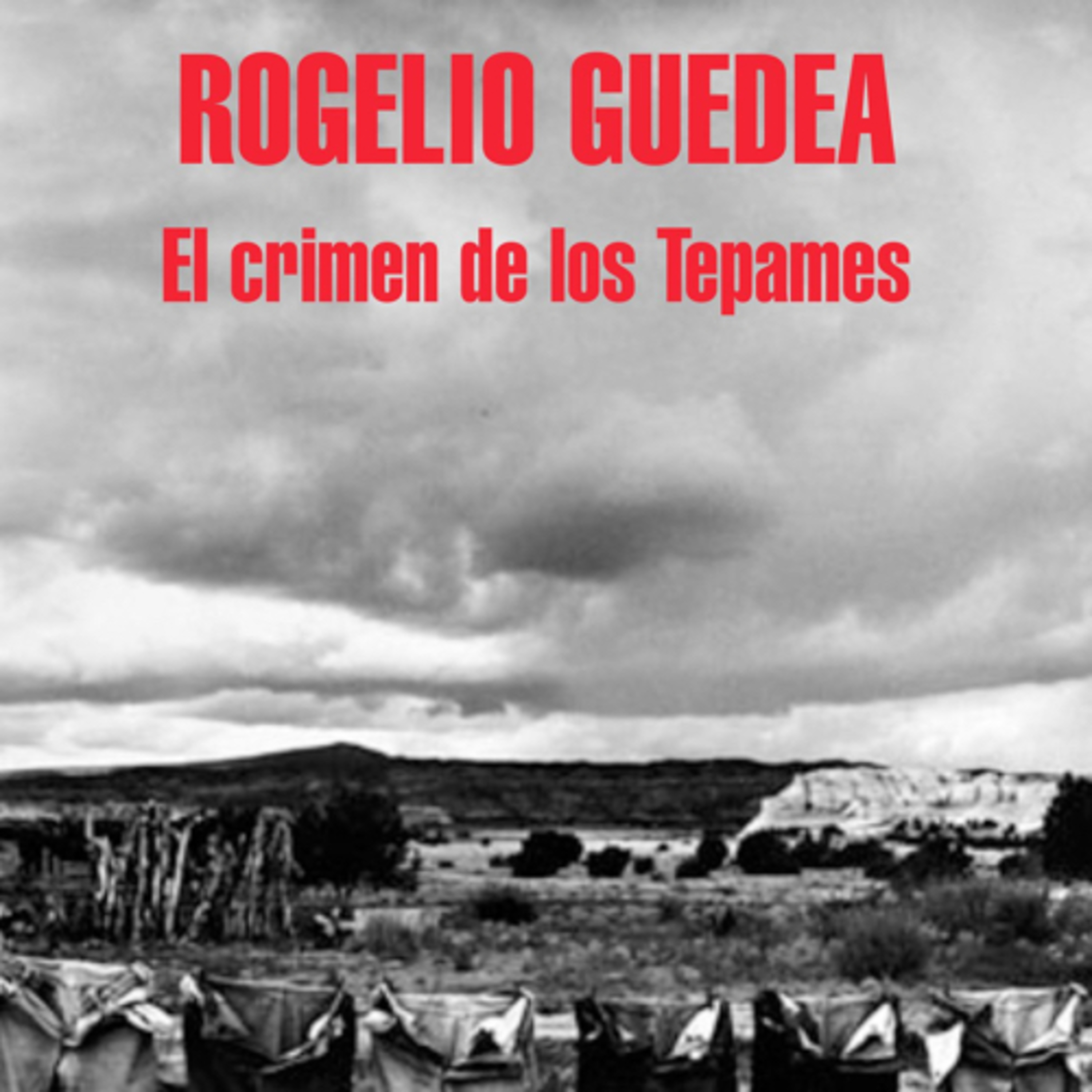 #libroclaroscuro
