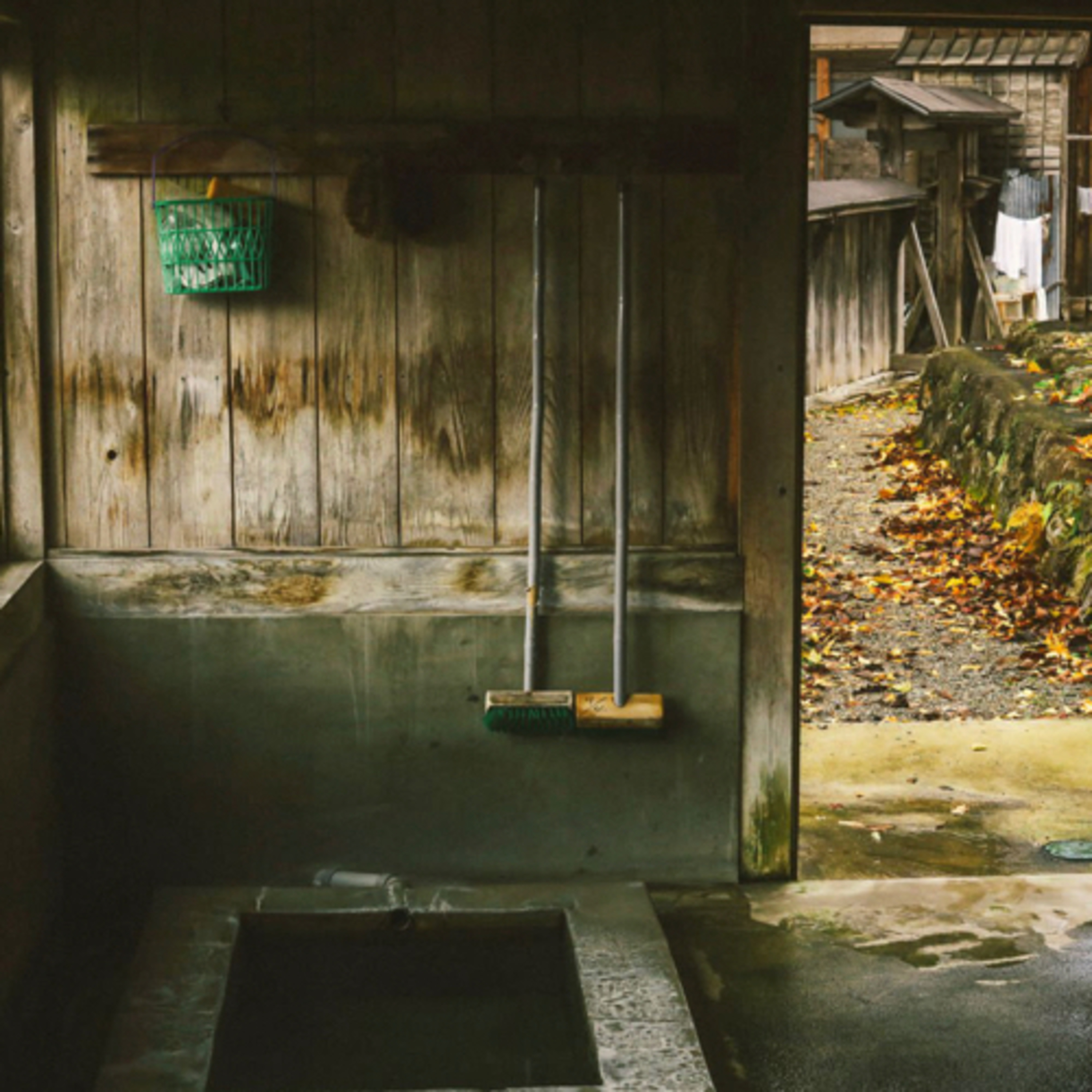 TORATABIXの日本大百科（トラタビックス）