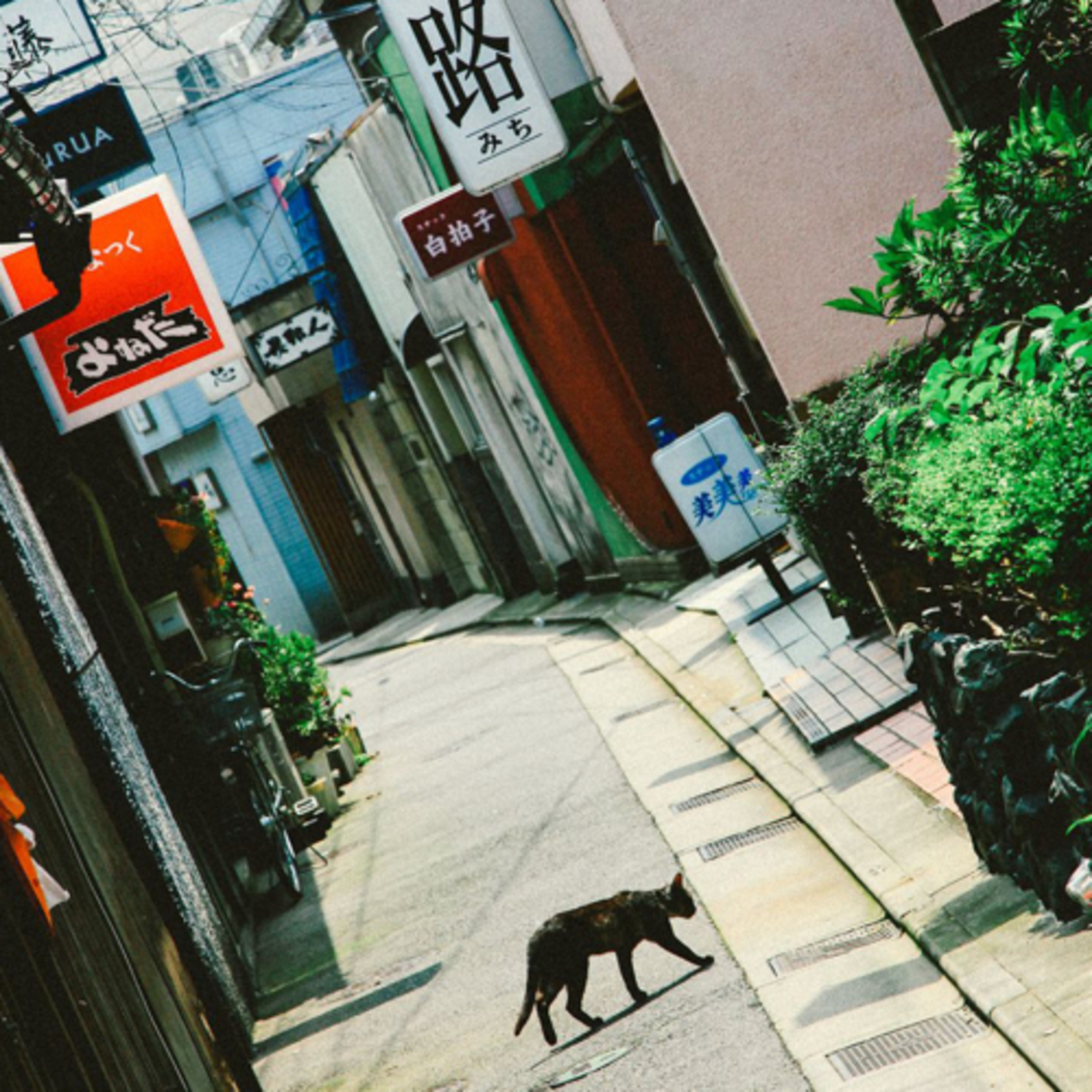 TORATABIXの日本大百科（トラタビックス）