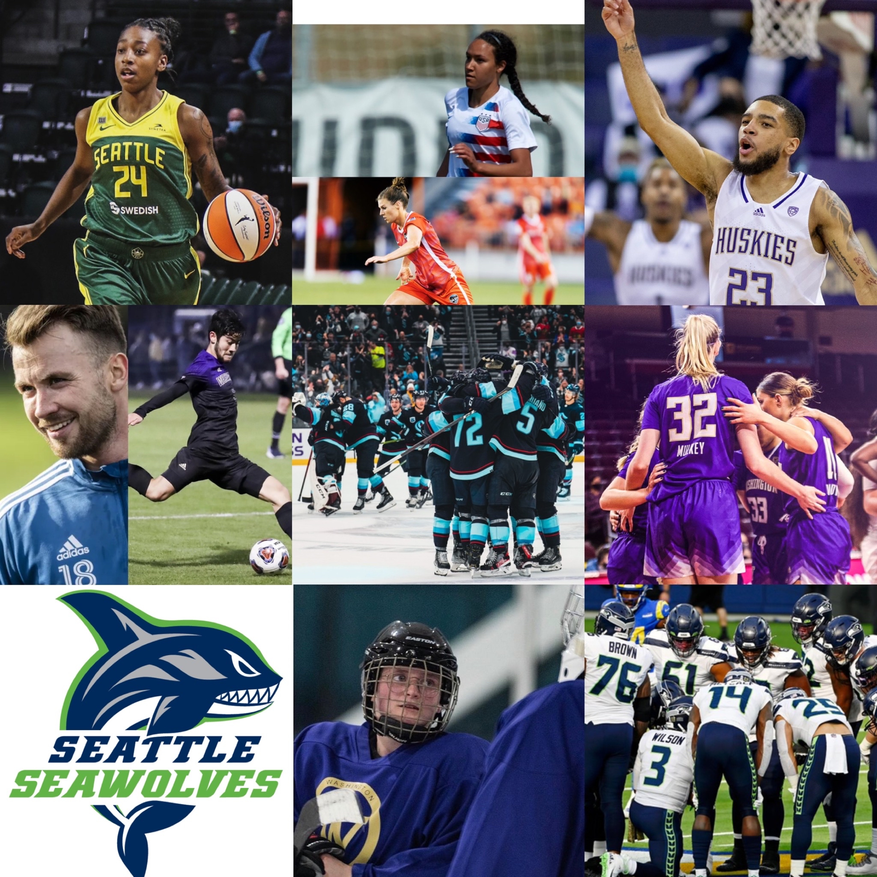 Circling Seattle Sports