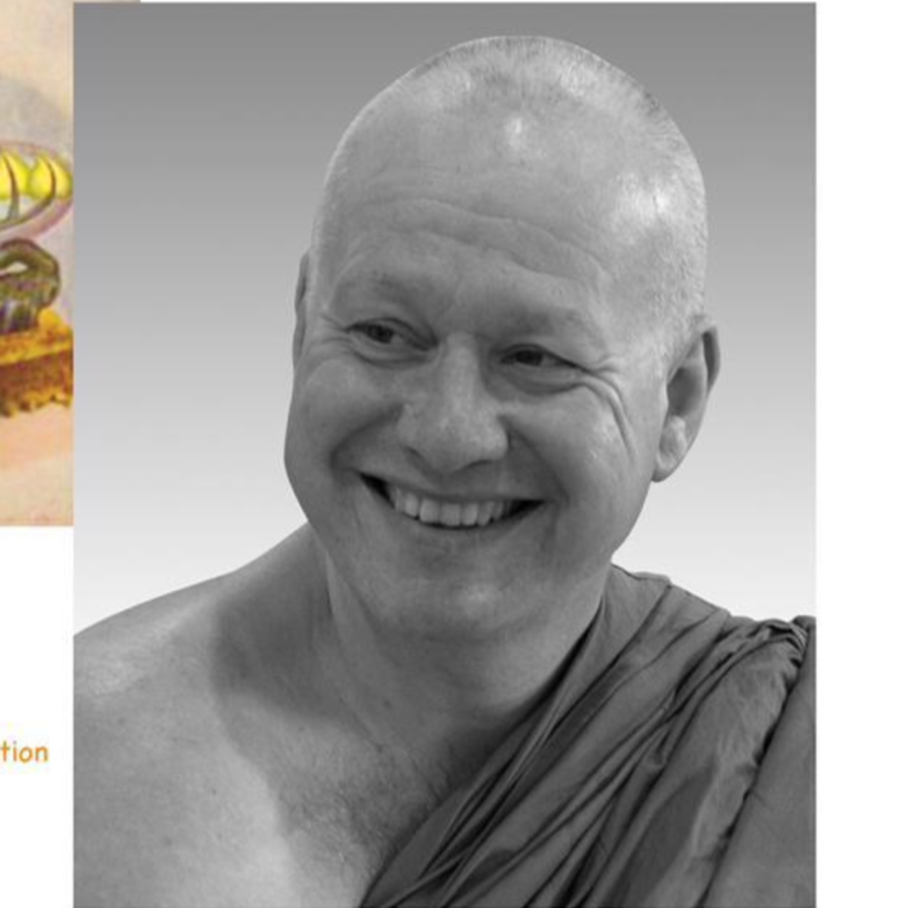 2019.0219 | Sammā Sati: The Foundations of Blissful Peace in Daily Life by Ajahn Kalyano episode artwork