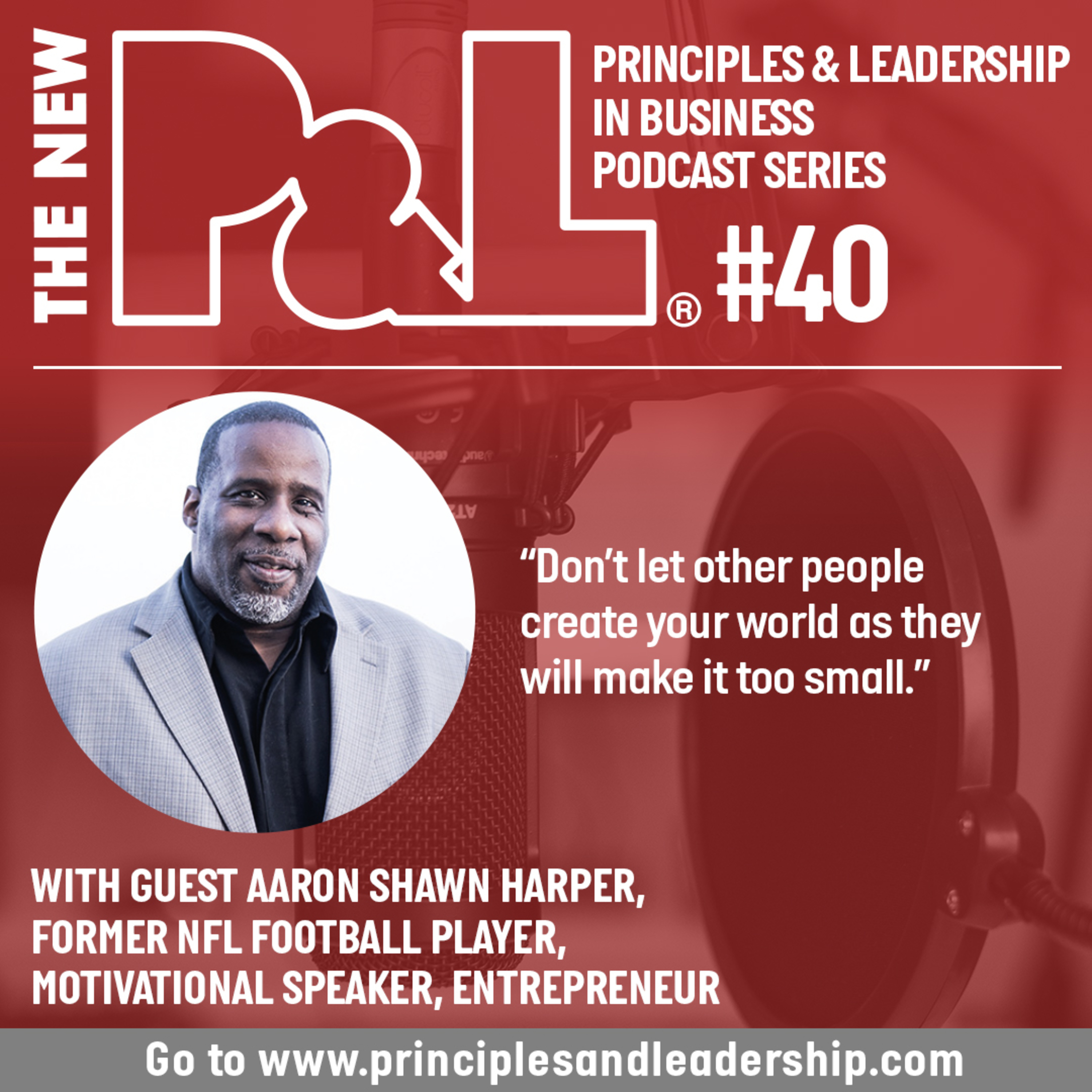 The New P & L - Principles and Leadership in Business