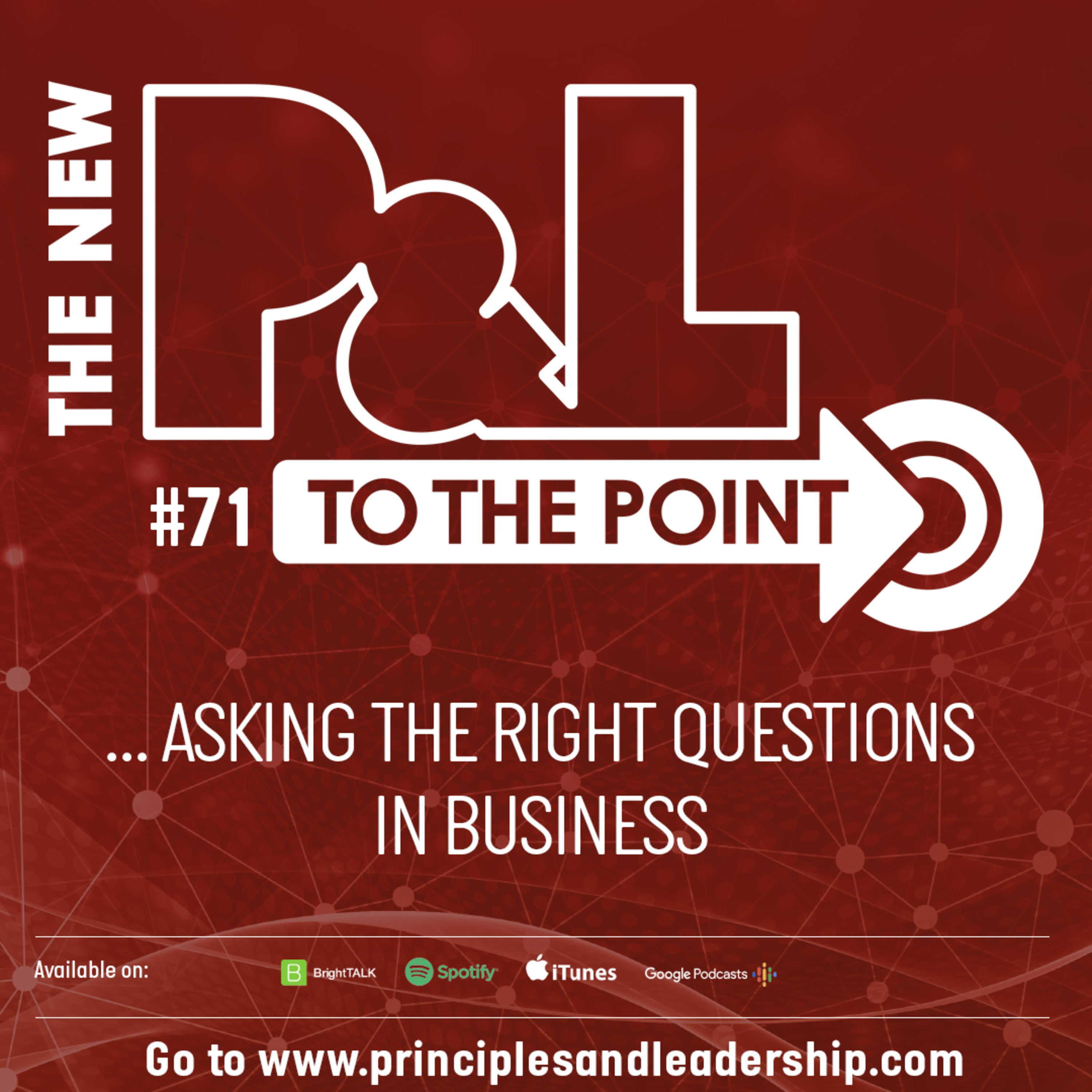 The New P&L TO THE POINT on Asking the Right Questions in Business  episode artwork