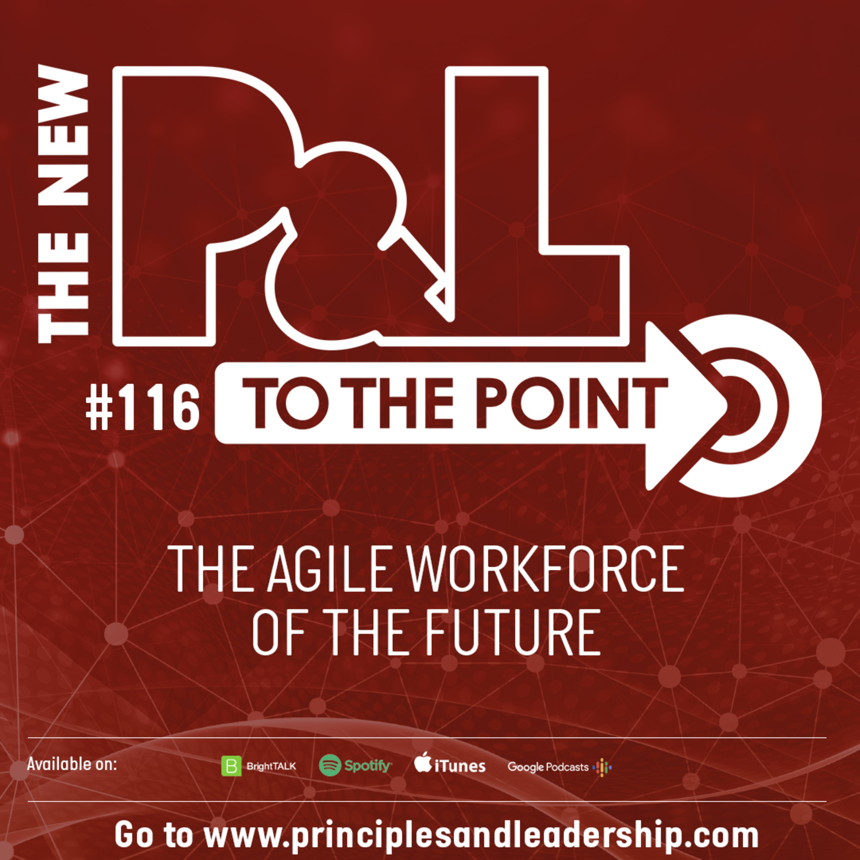 The New P & L - Principles and Leadership in Business