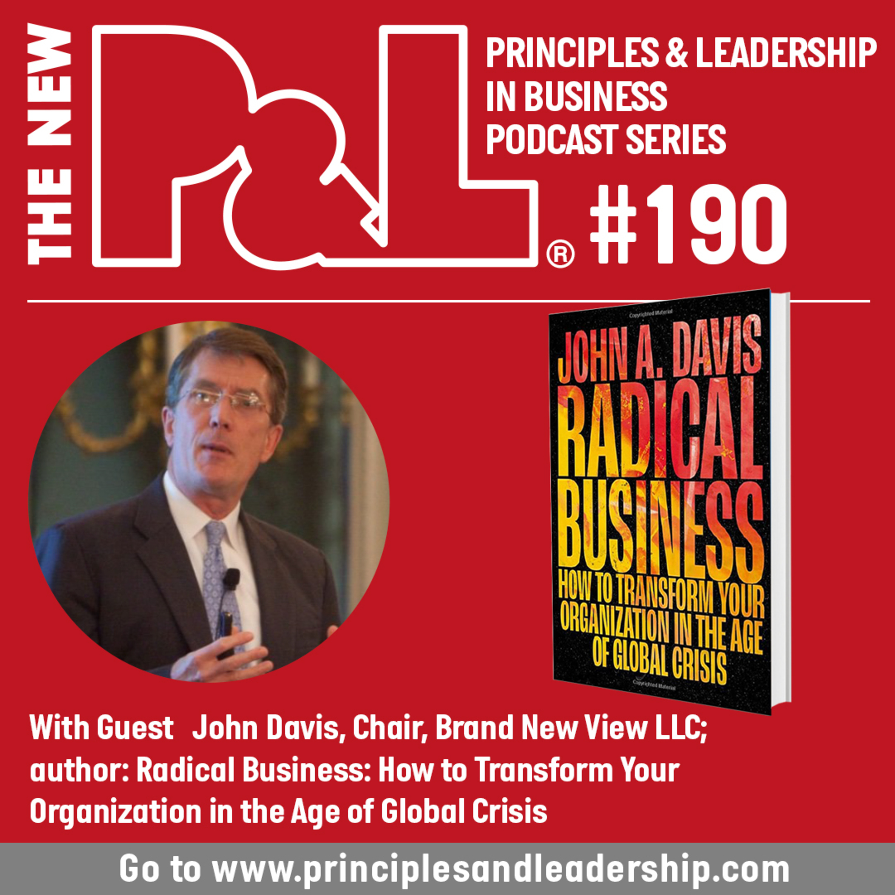 The New P&L speaks to John A Davis: Chair, Brand New View LLC; author: Radical Business: How to Transform Your Organisation in the Age of Global Crisis episode artwork