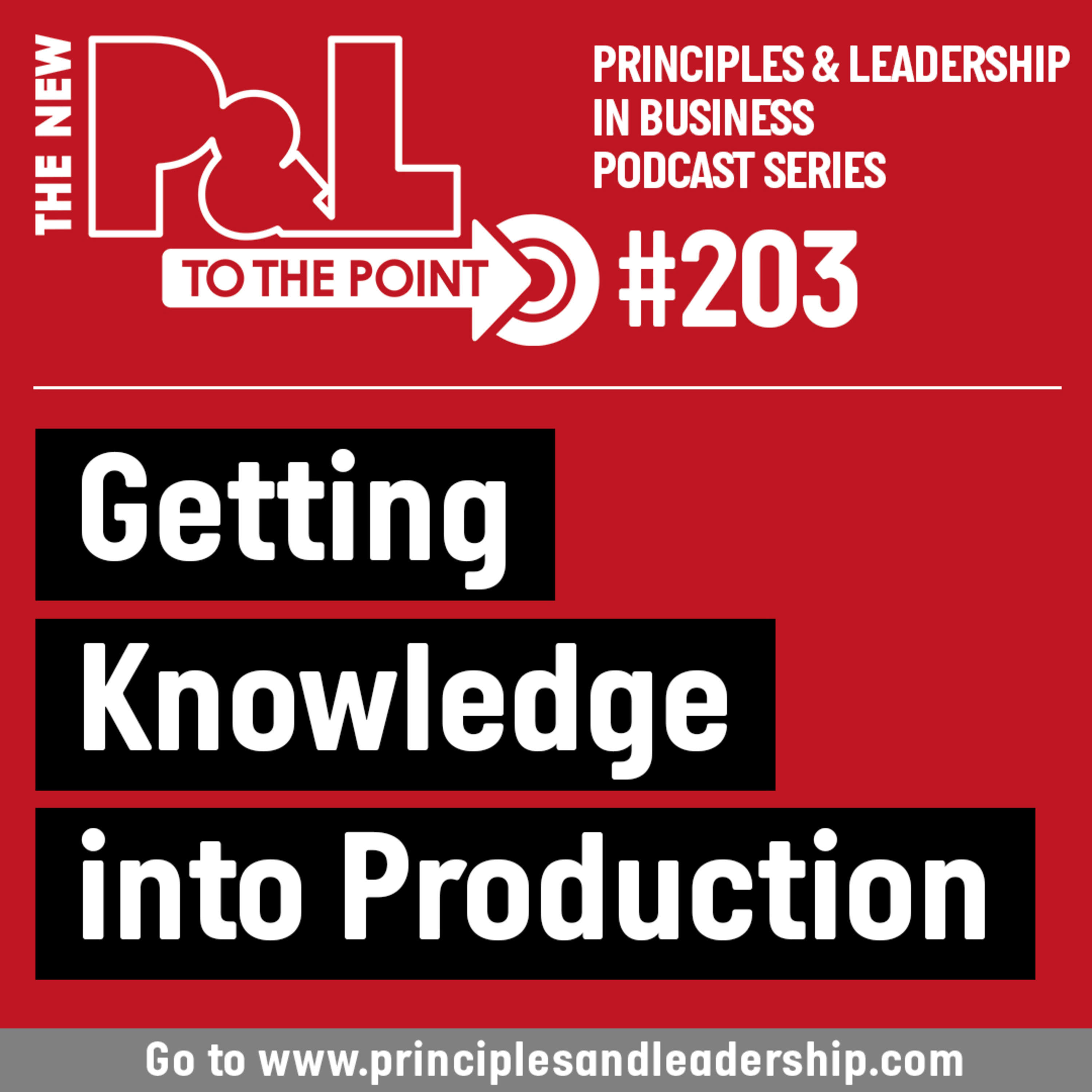 The New P&L TO THE POINT on Getting Knowledge into Production  episode artwork