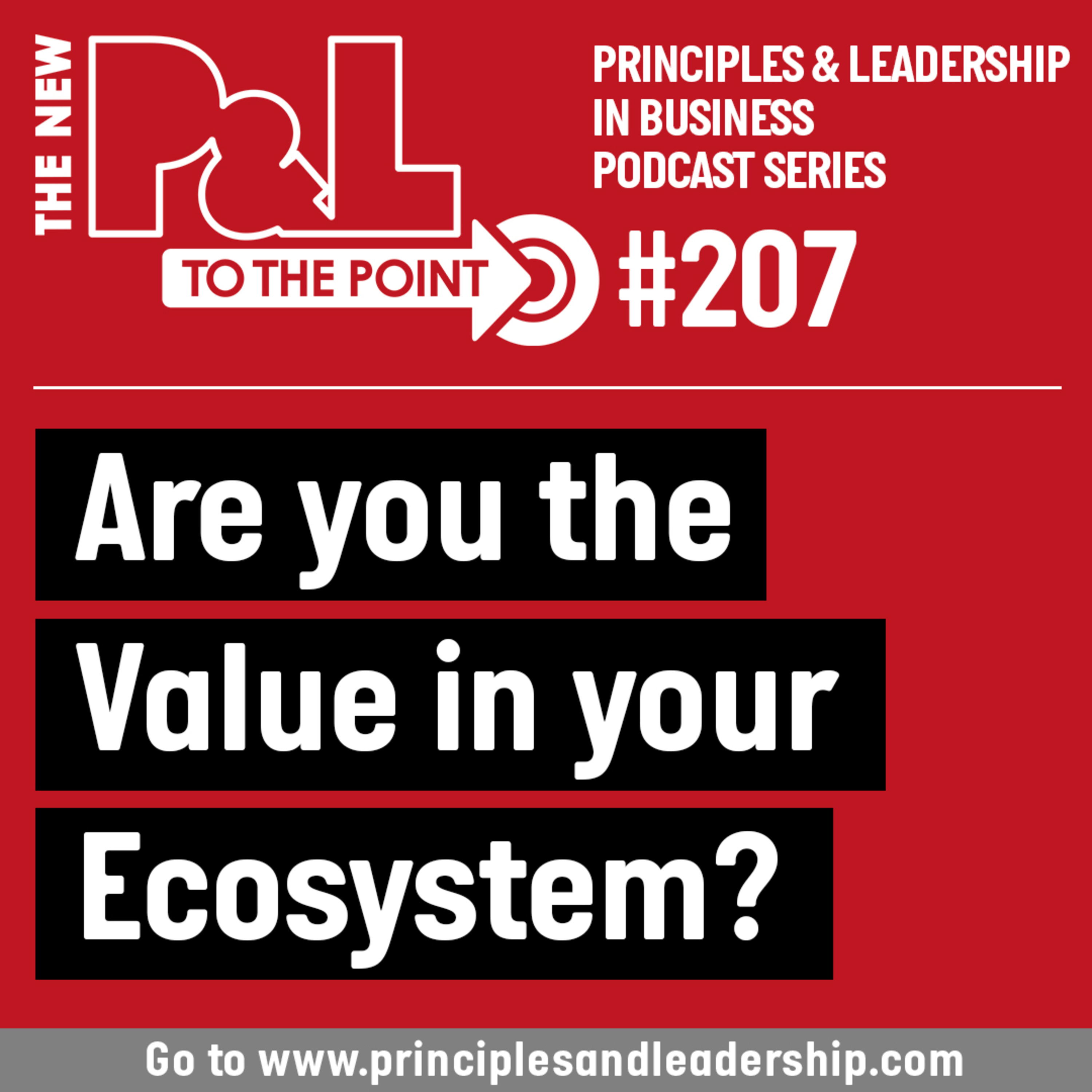 The New P&L TO THE POINT on Are You the Value in your Ecosystem? episode artwork