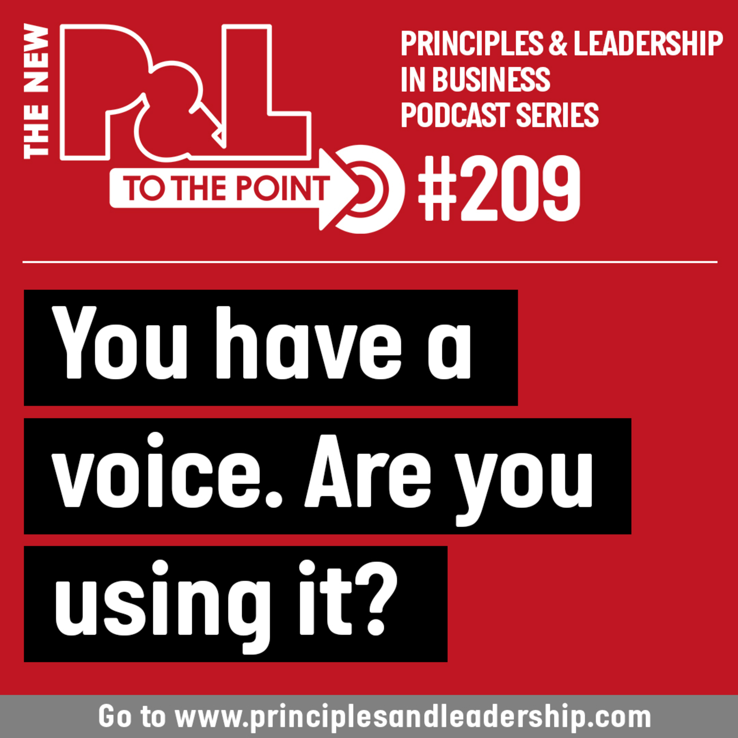 The New P&L TO THE POINT on You have a Voice. Are you using it? episode artwork