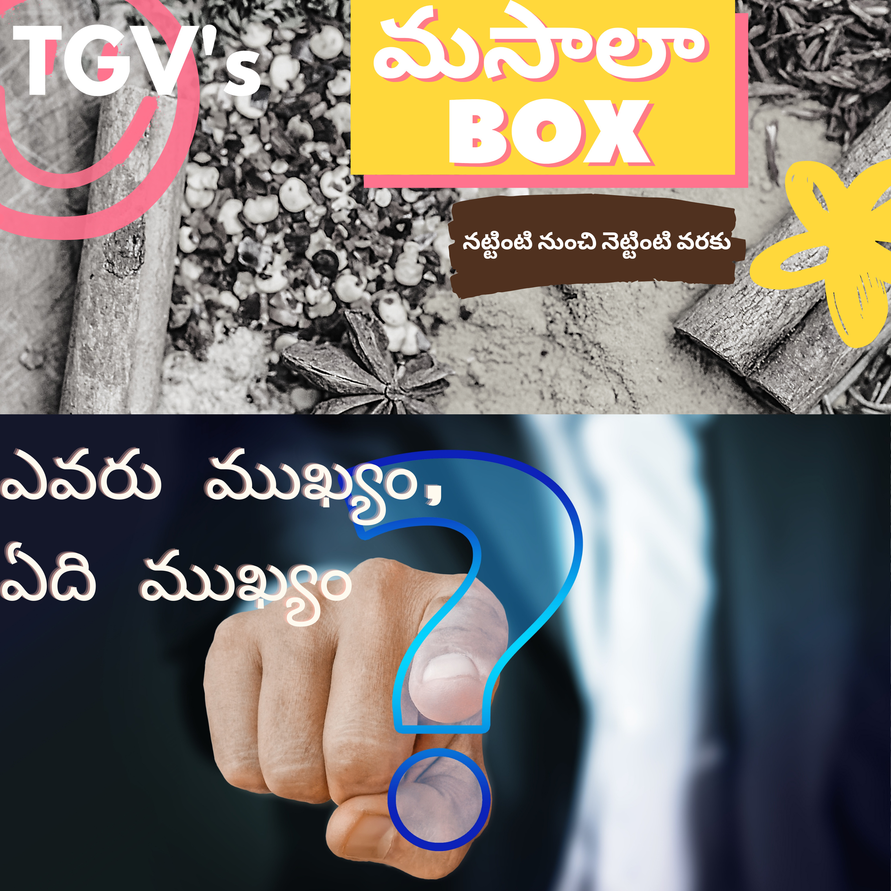 TGV Masala Box (Telugu)