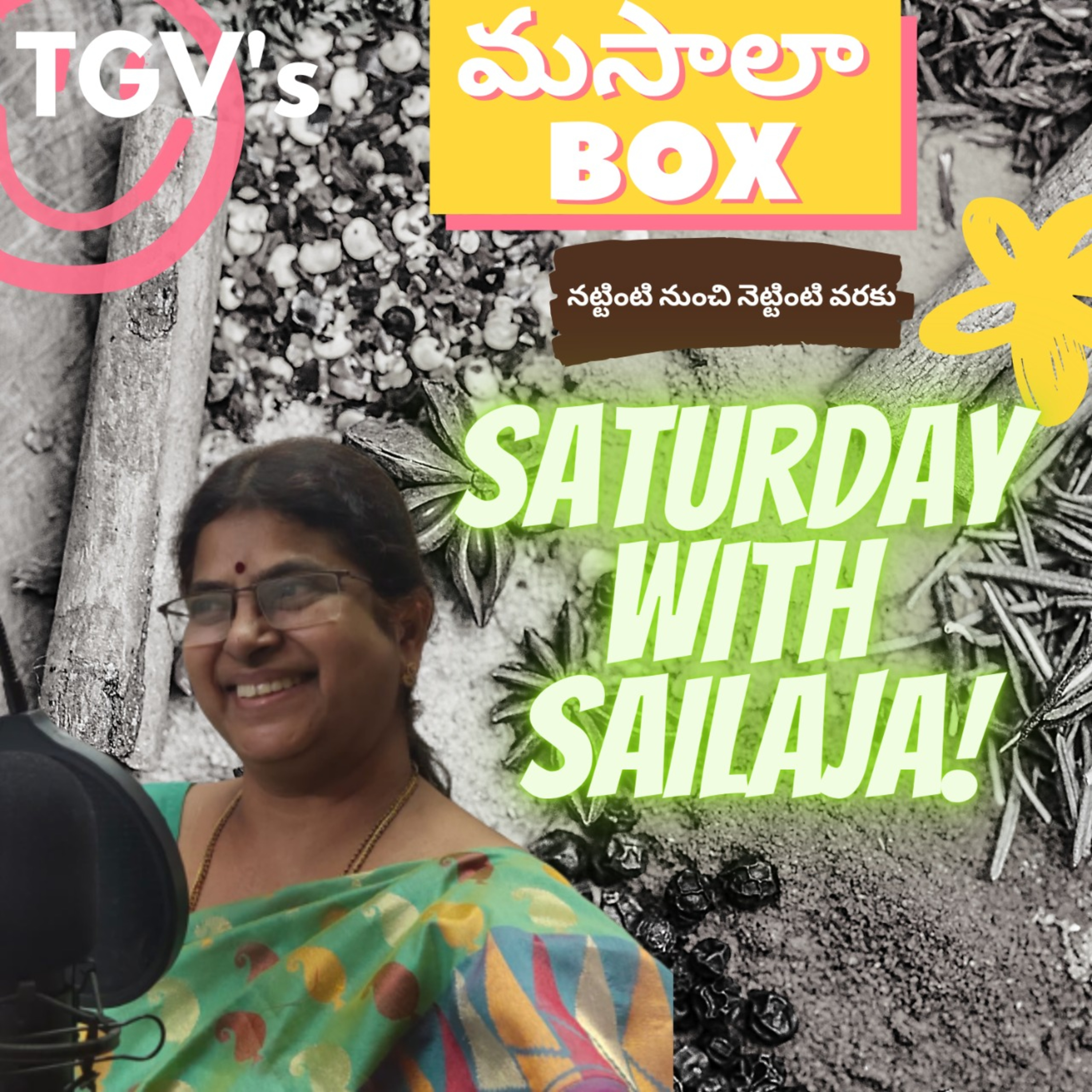 TGV Masala Box (Telugu)