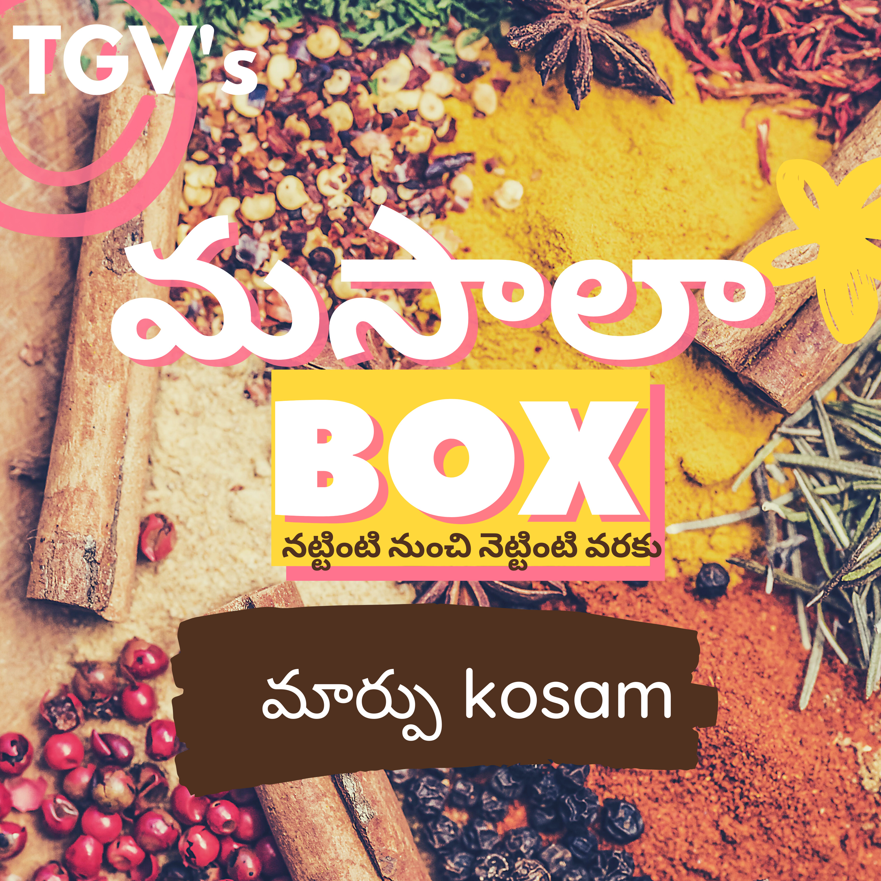 TGV Masala Box (Telugu)