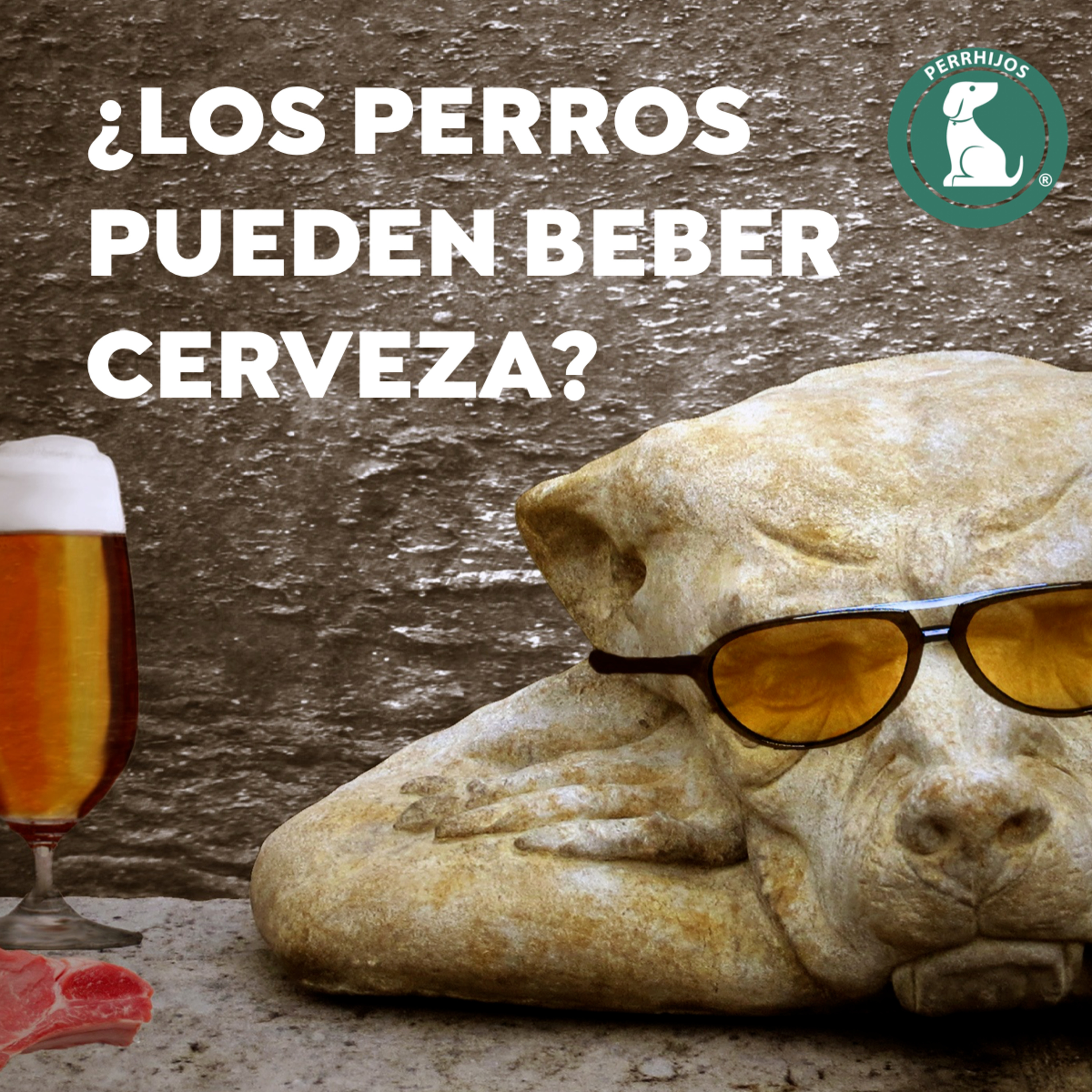 ¿Los perros pueden tomar Cerveza?