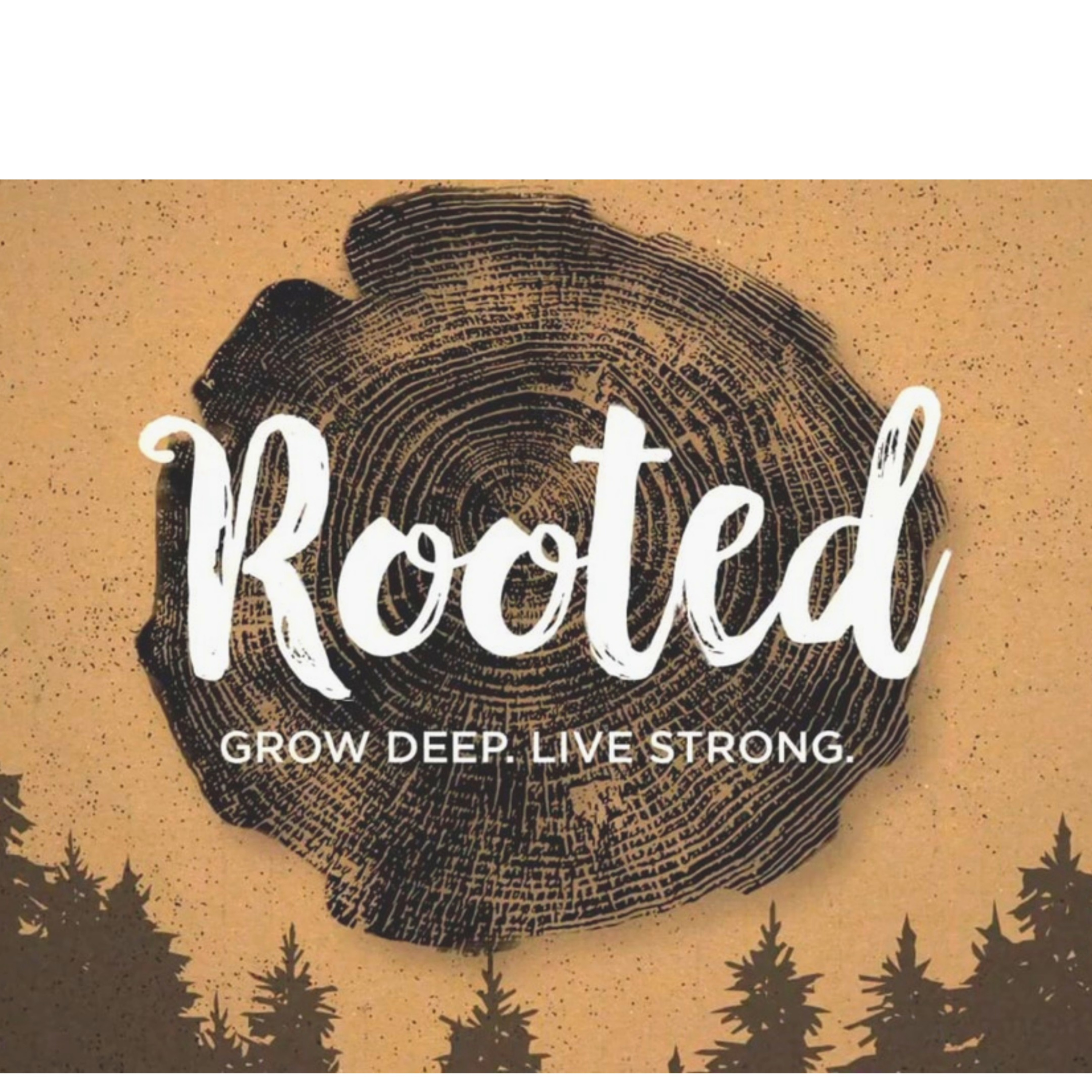 Rooted | Colossians 2 episode artwork