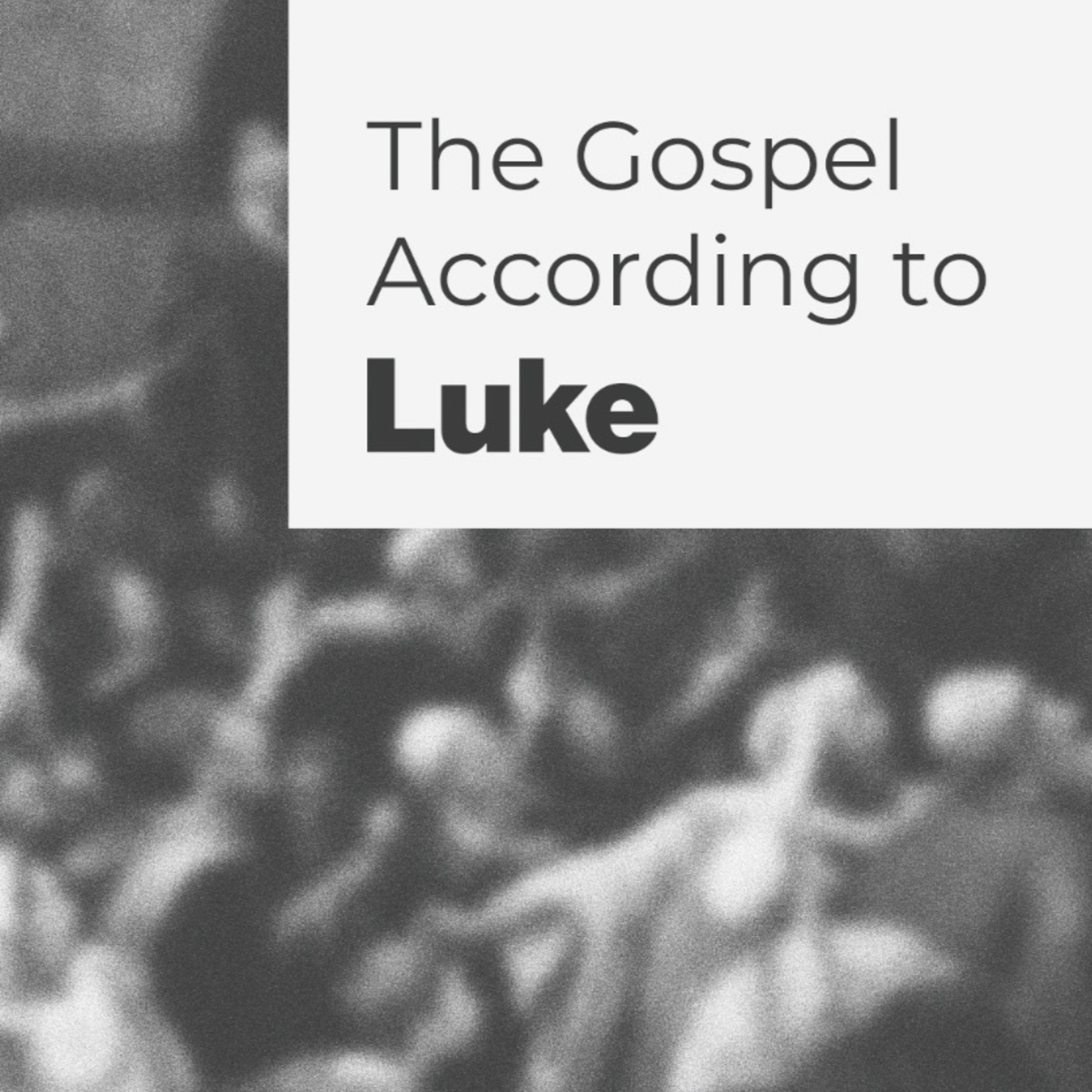 The Gospel According to Luke | Luke 5:27-31 | Pastor Andrew Sherman episode artwork