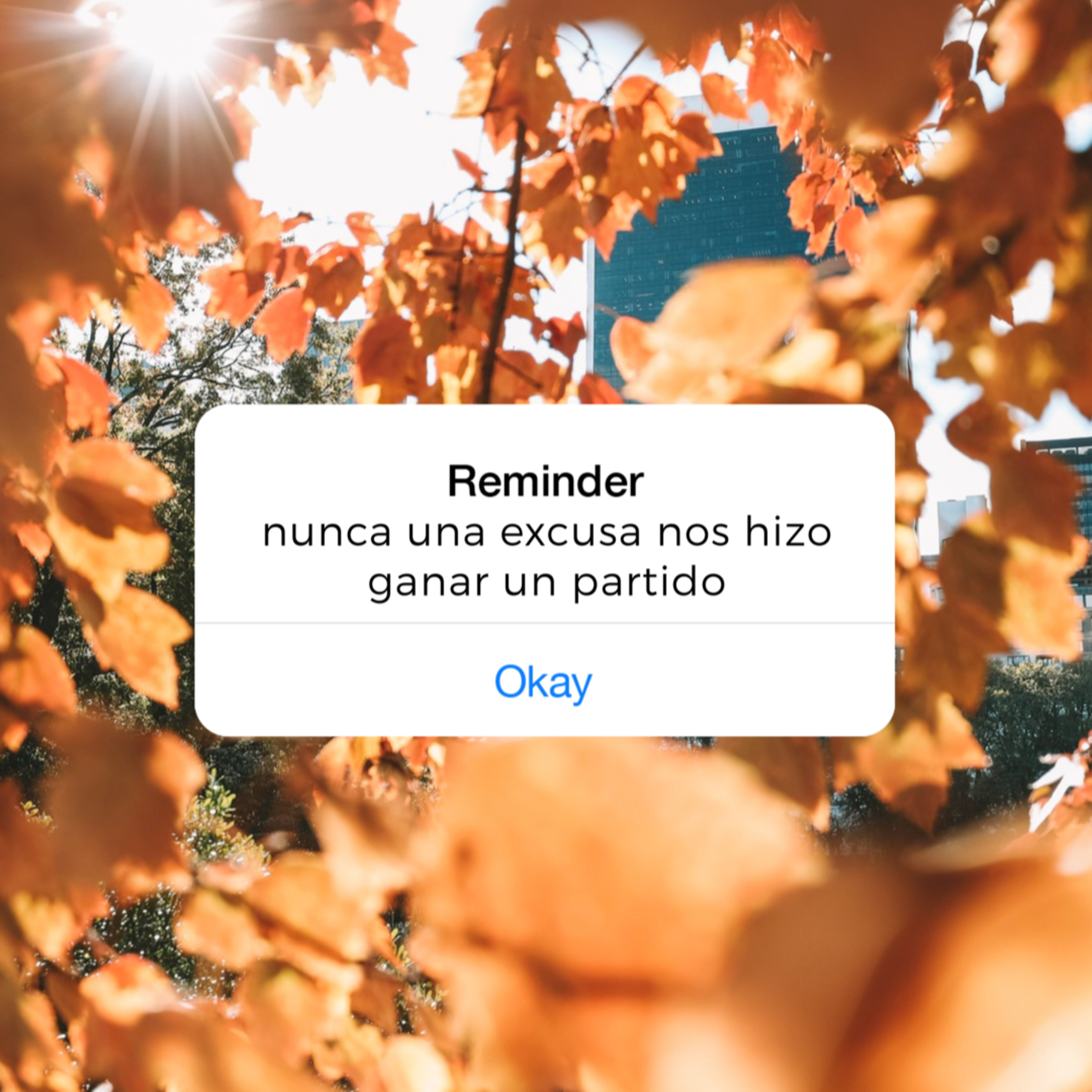 se nos va la vida ✨