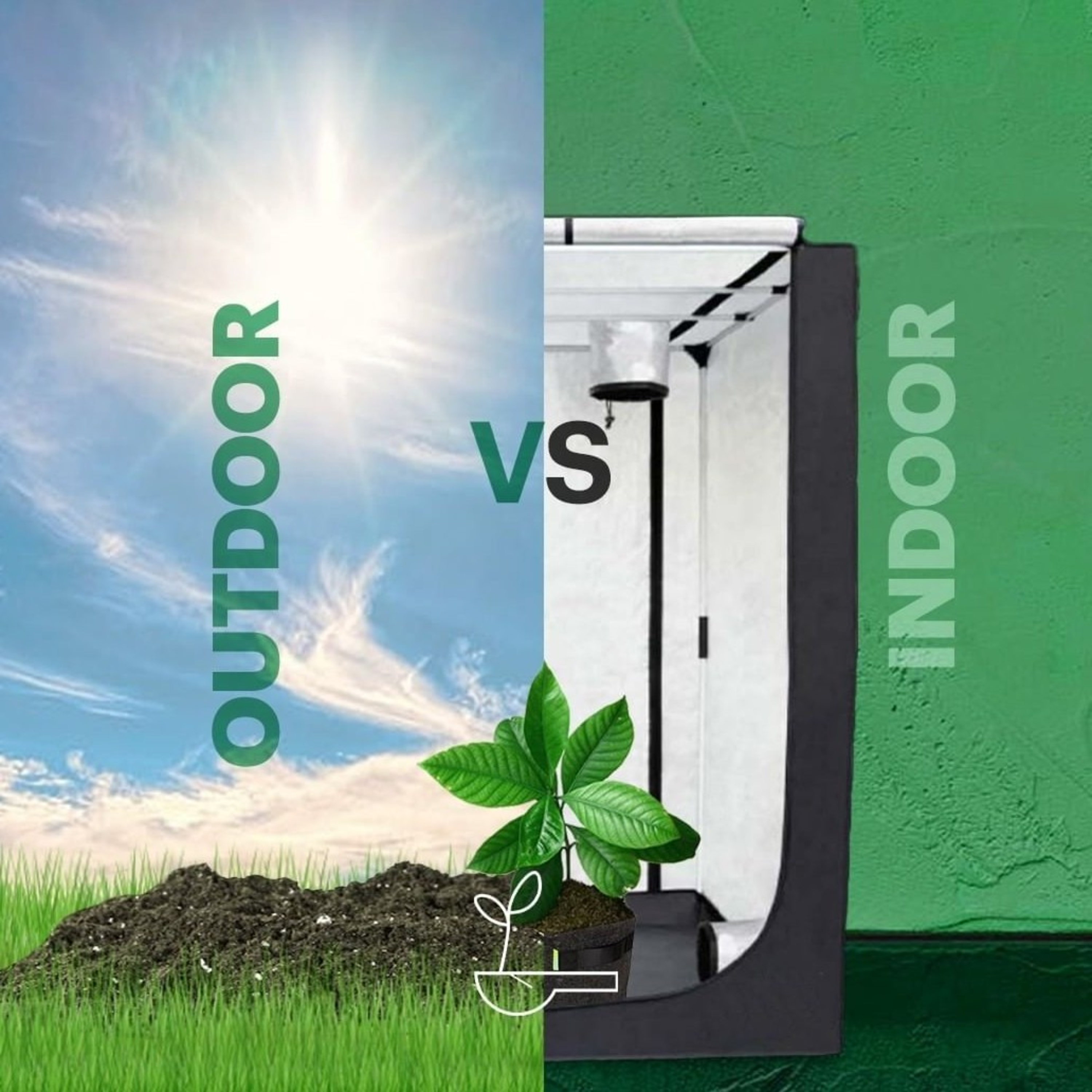 Cultivo en interior vs exterior... cuál es mejor?