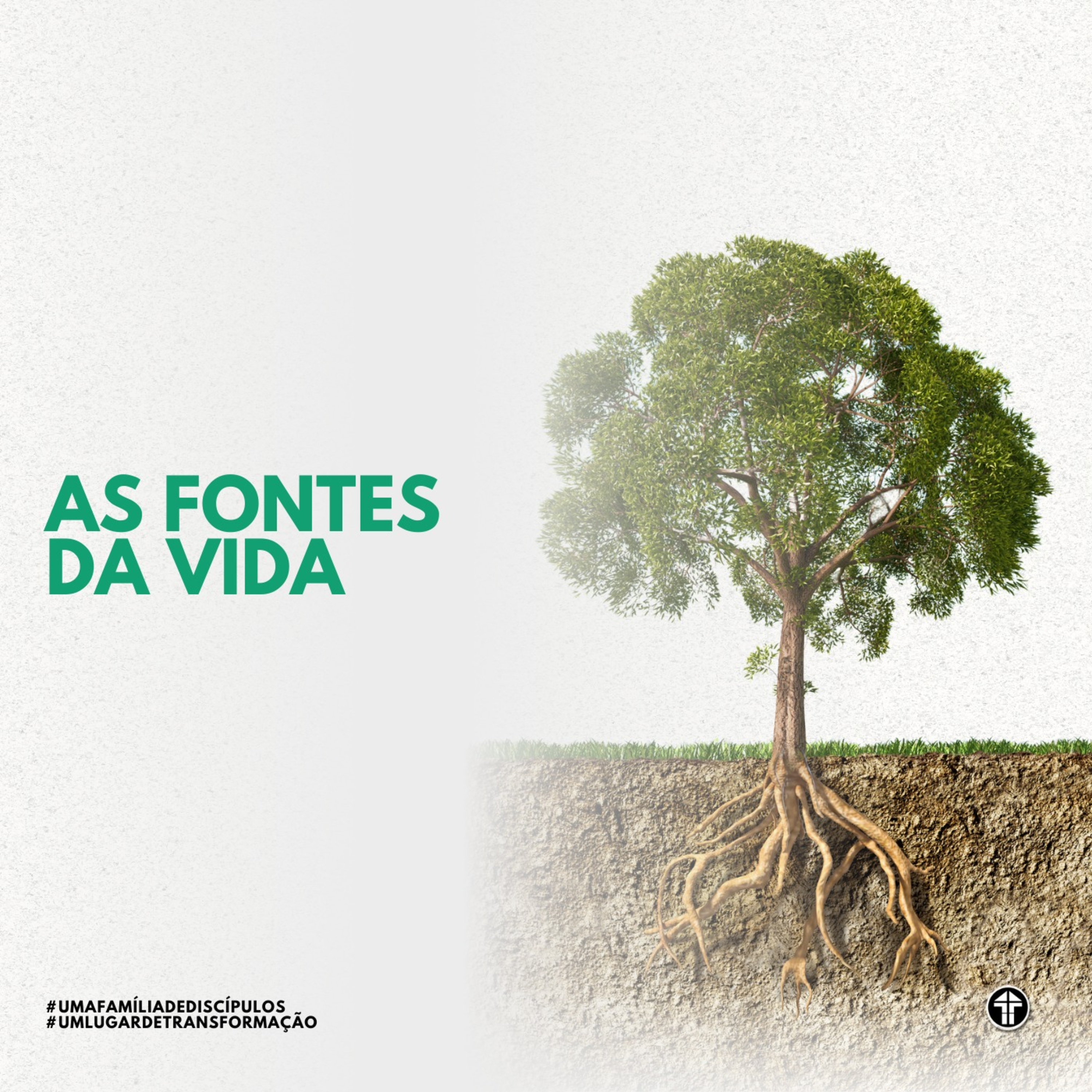 AS FONTES DA VIDA episode artwork