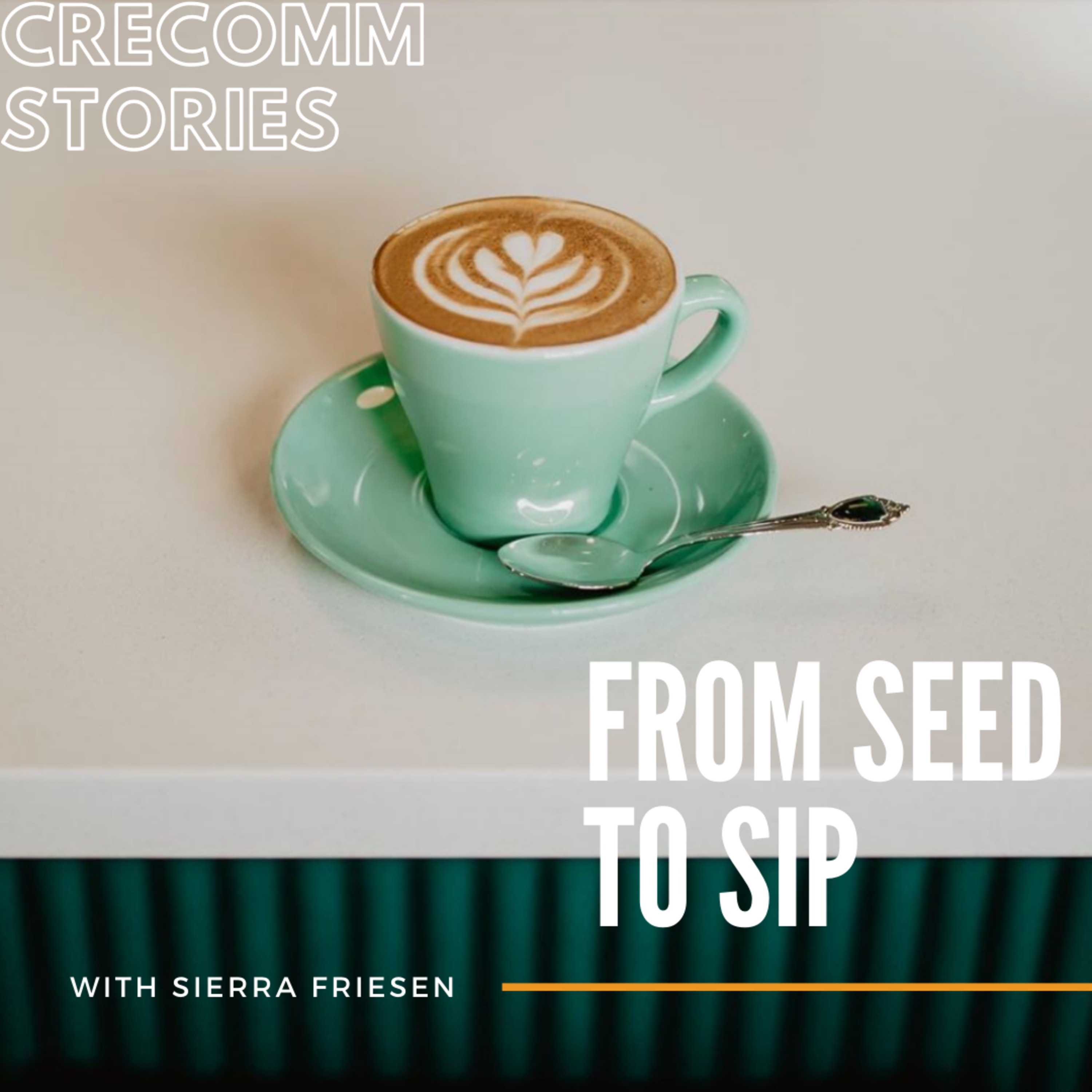 CreComm Stories