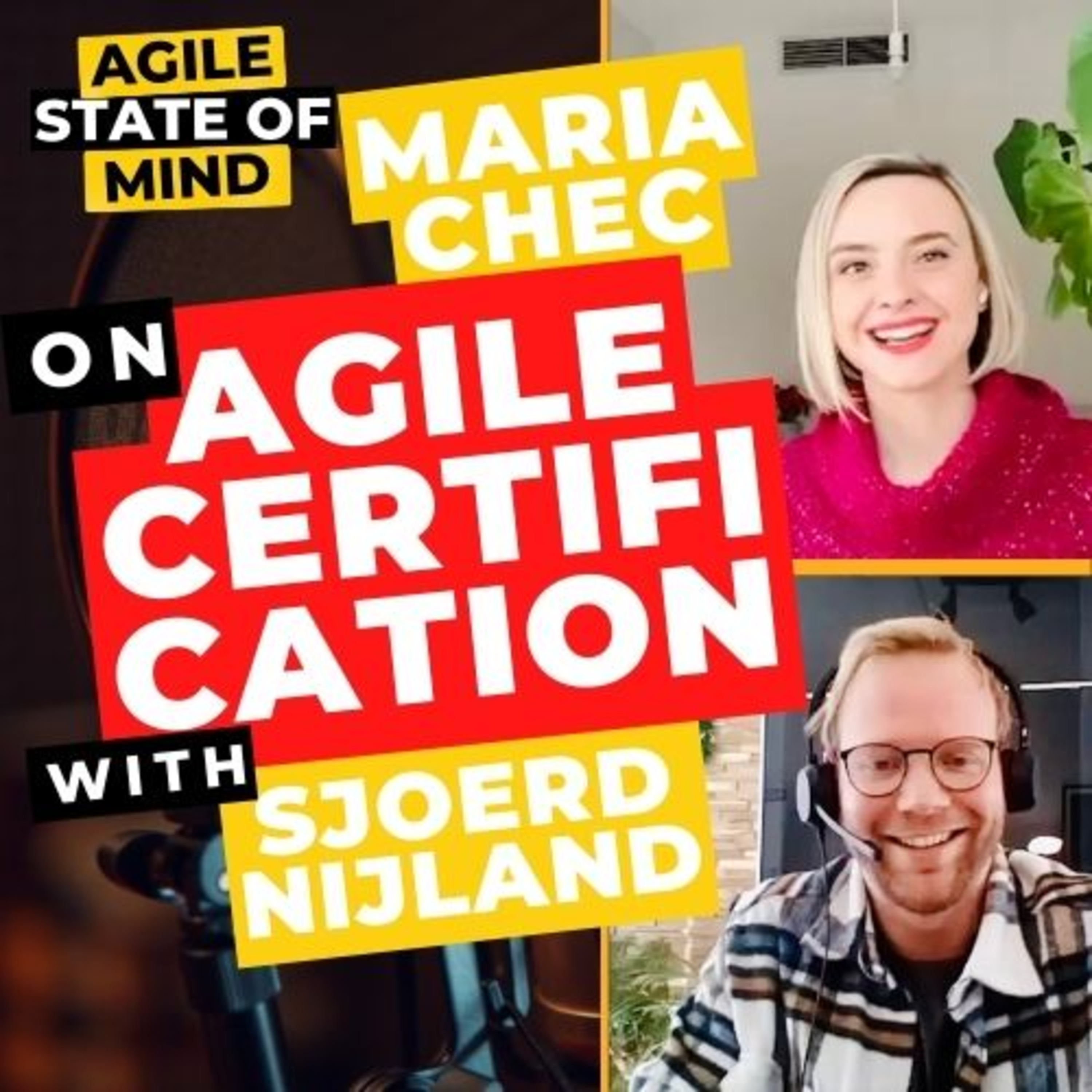 Agile State of Mind