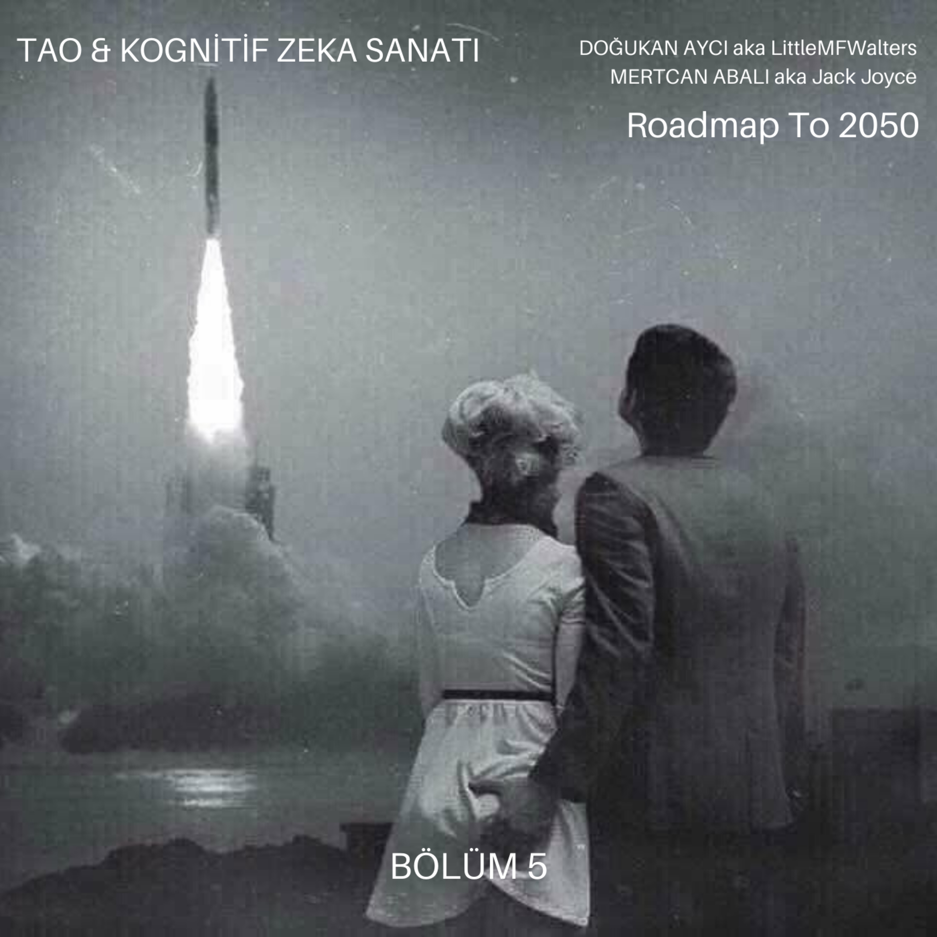 Tao & Kognitif Zeka Sanatı