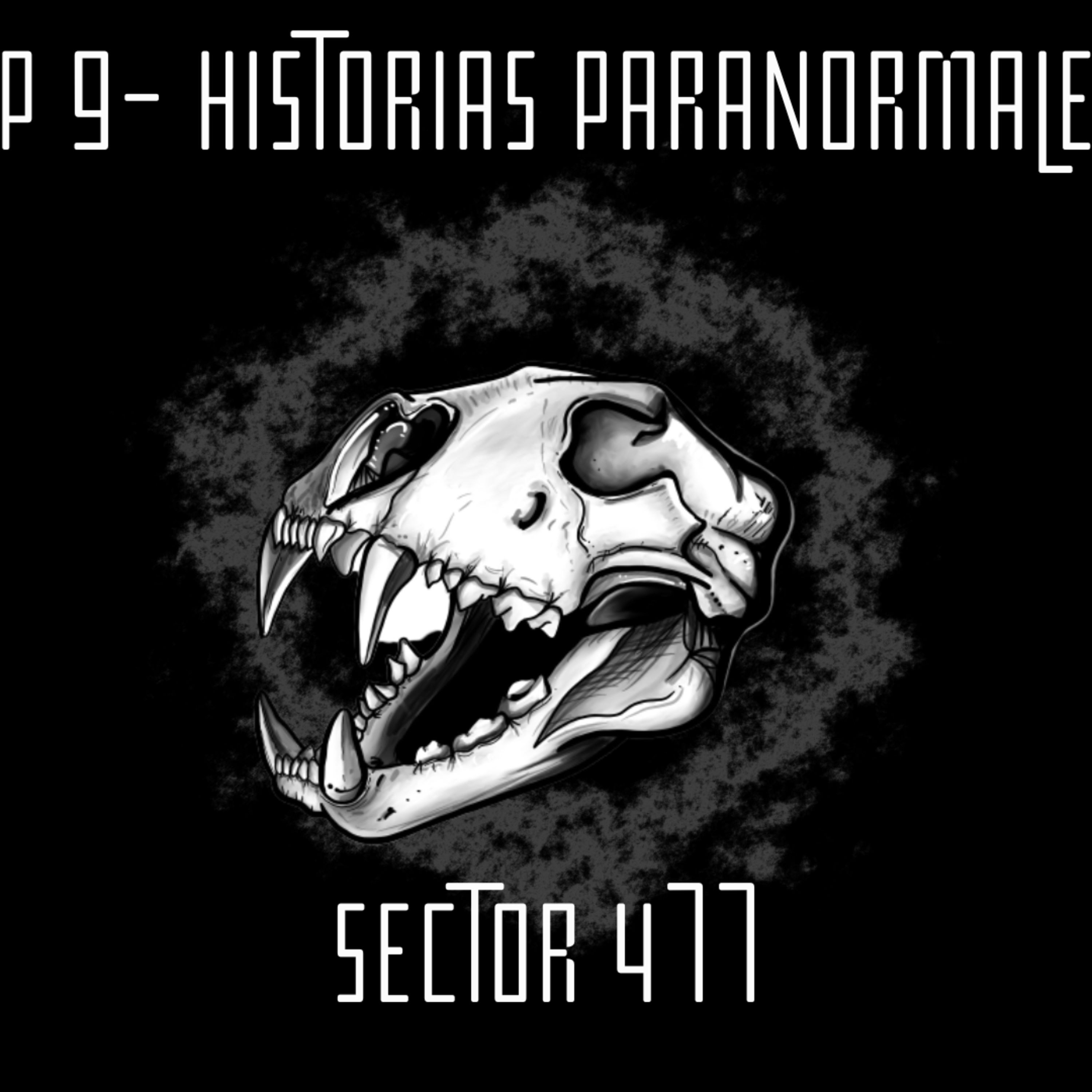 Sector 477