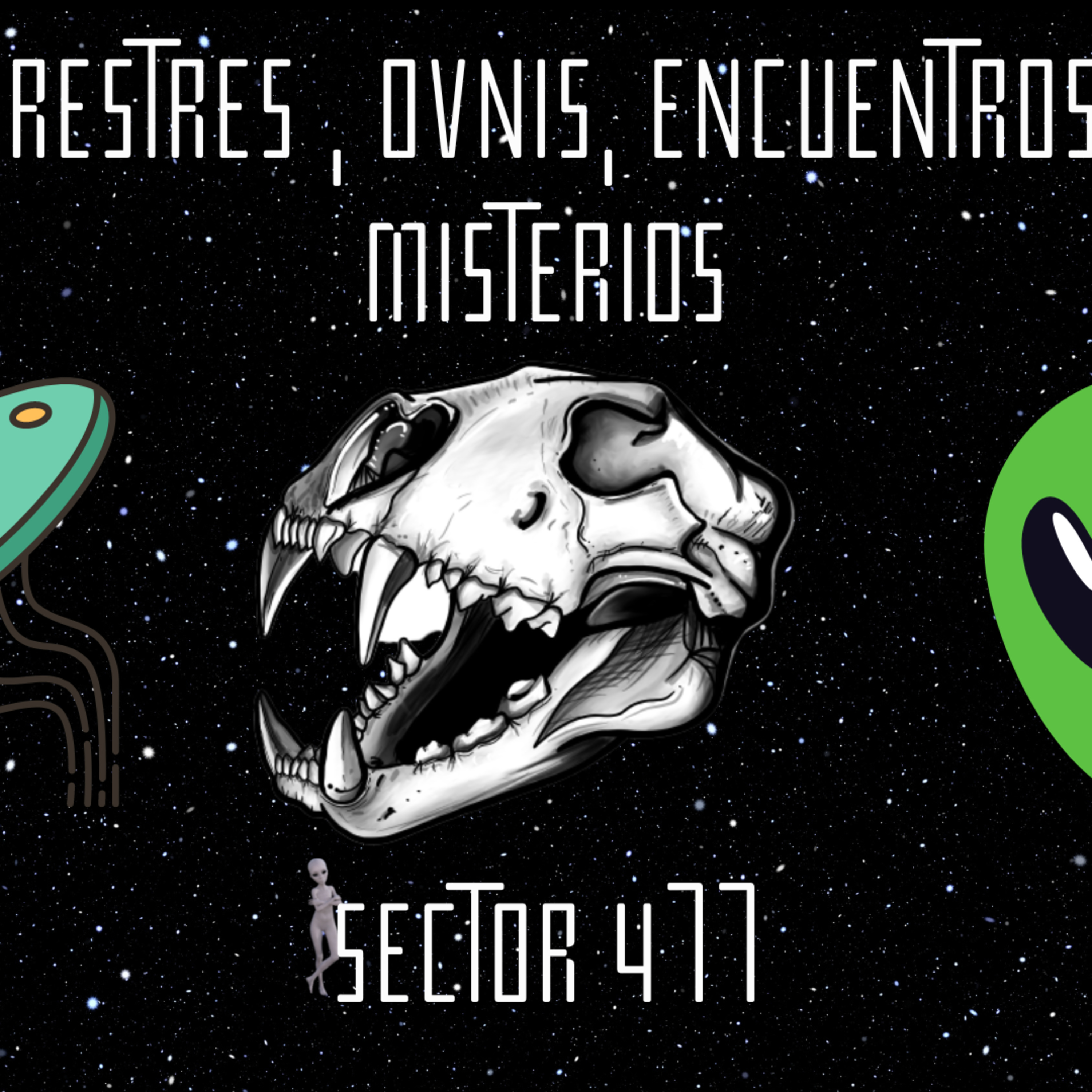 Sector 477