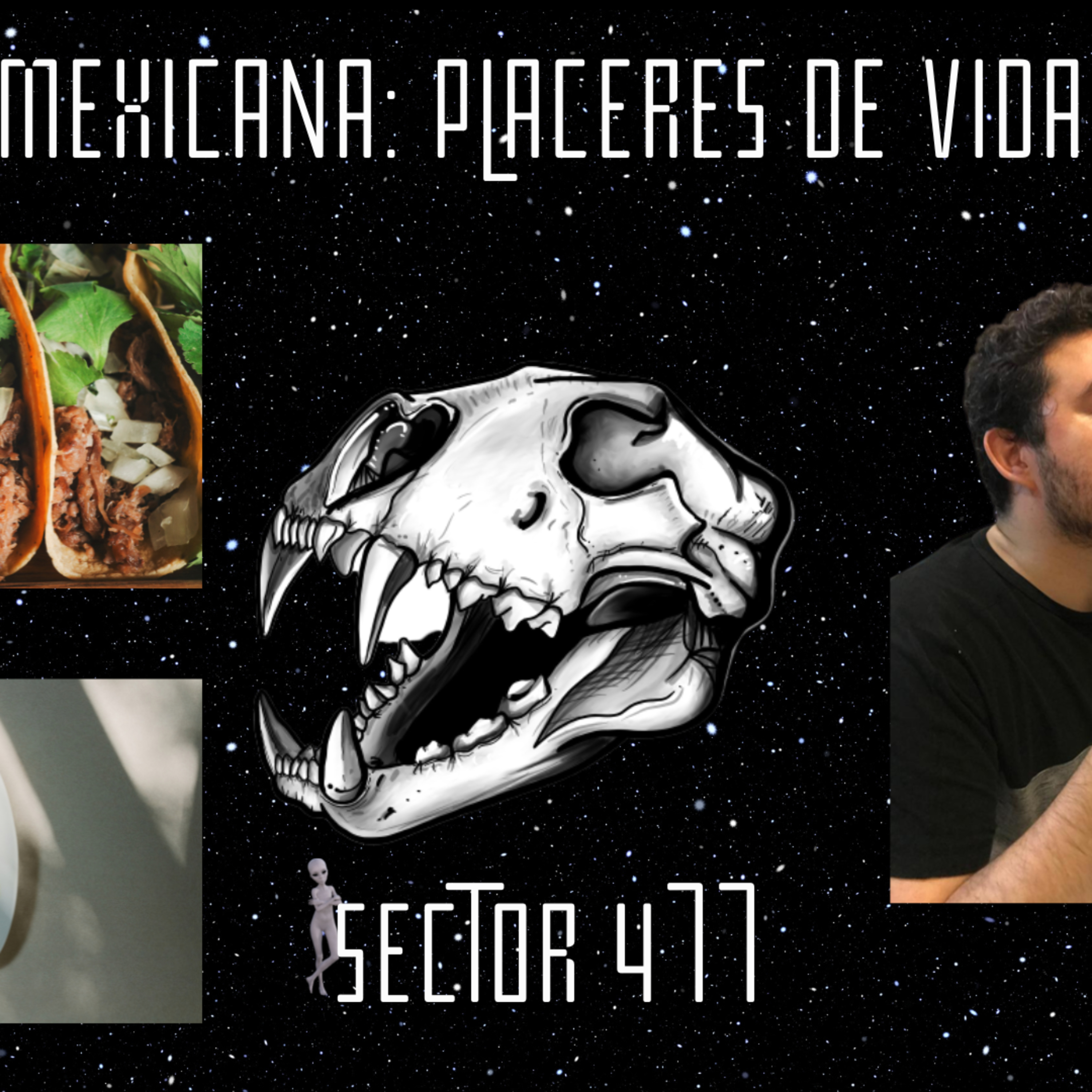 Sector 477