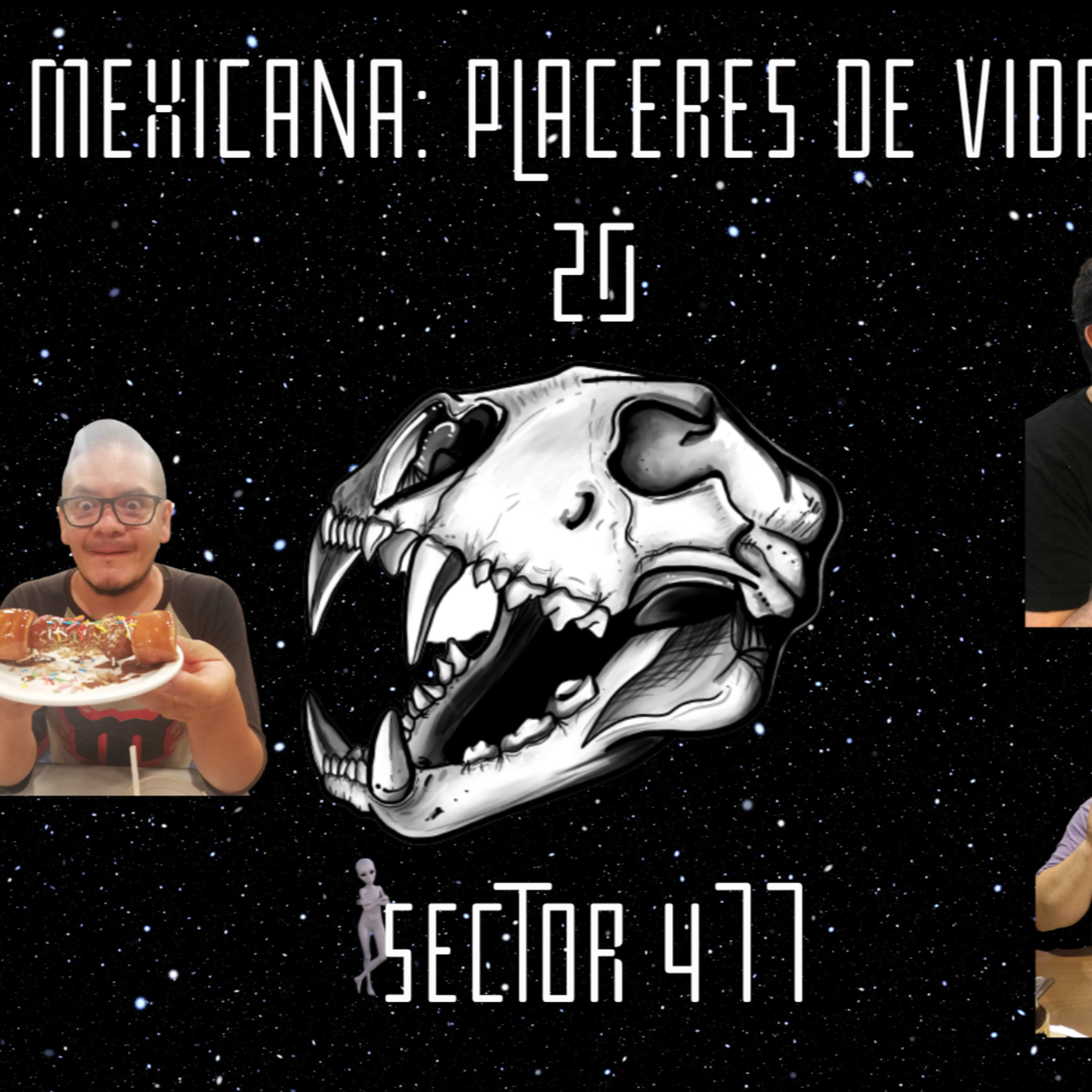 Sector 477